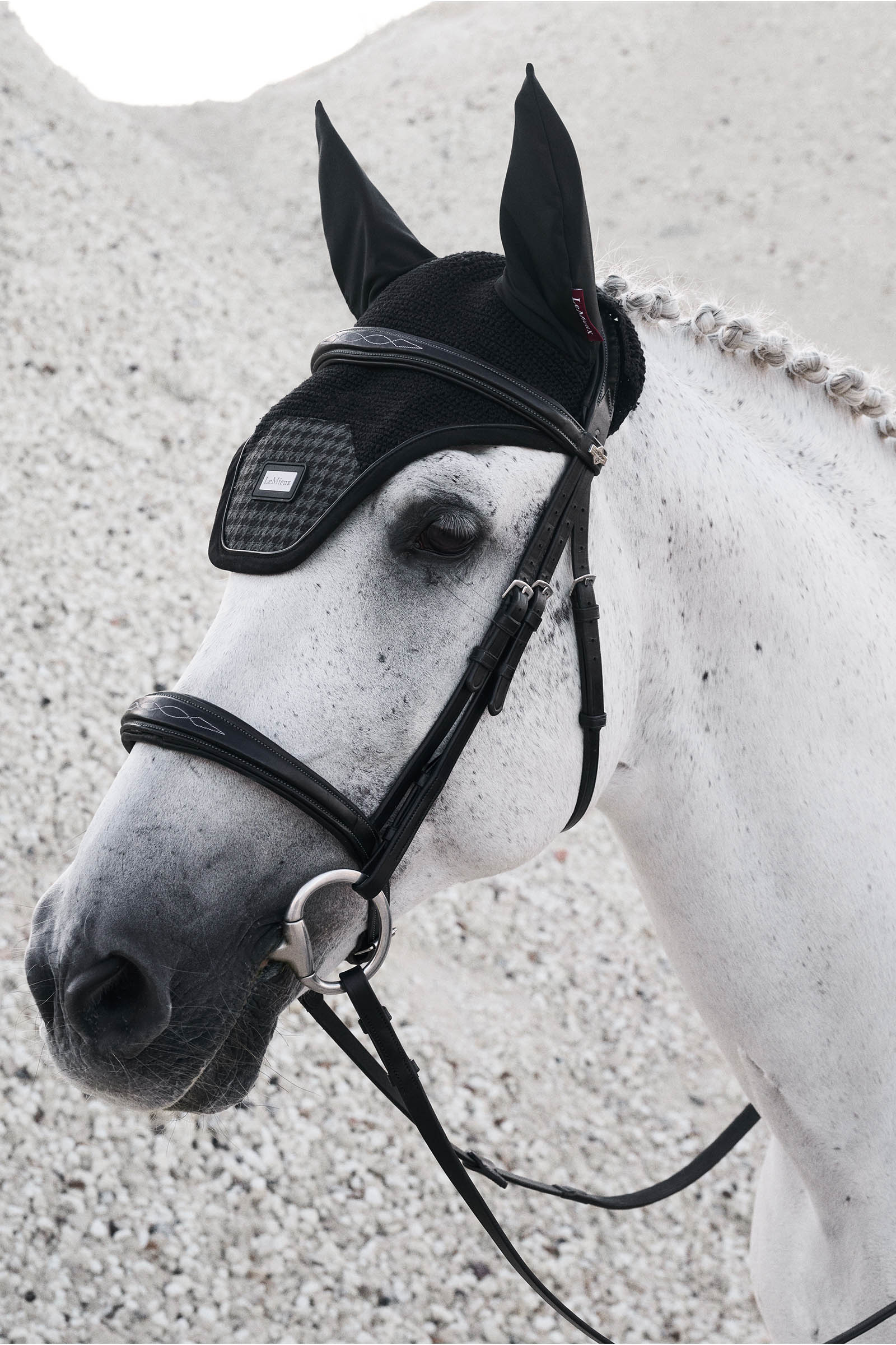 LeMieux Aspen Fliegenhaube