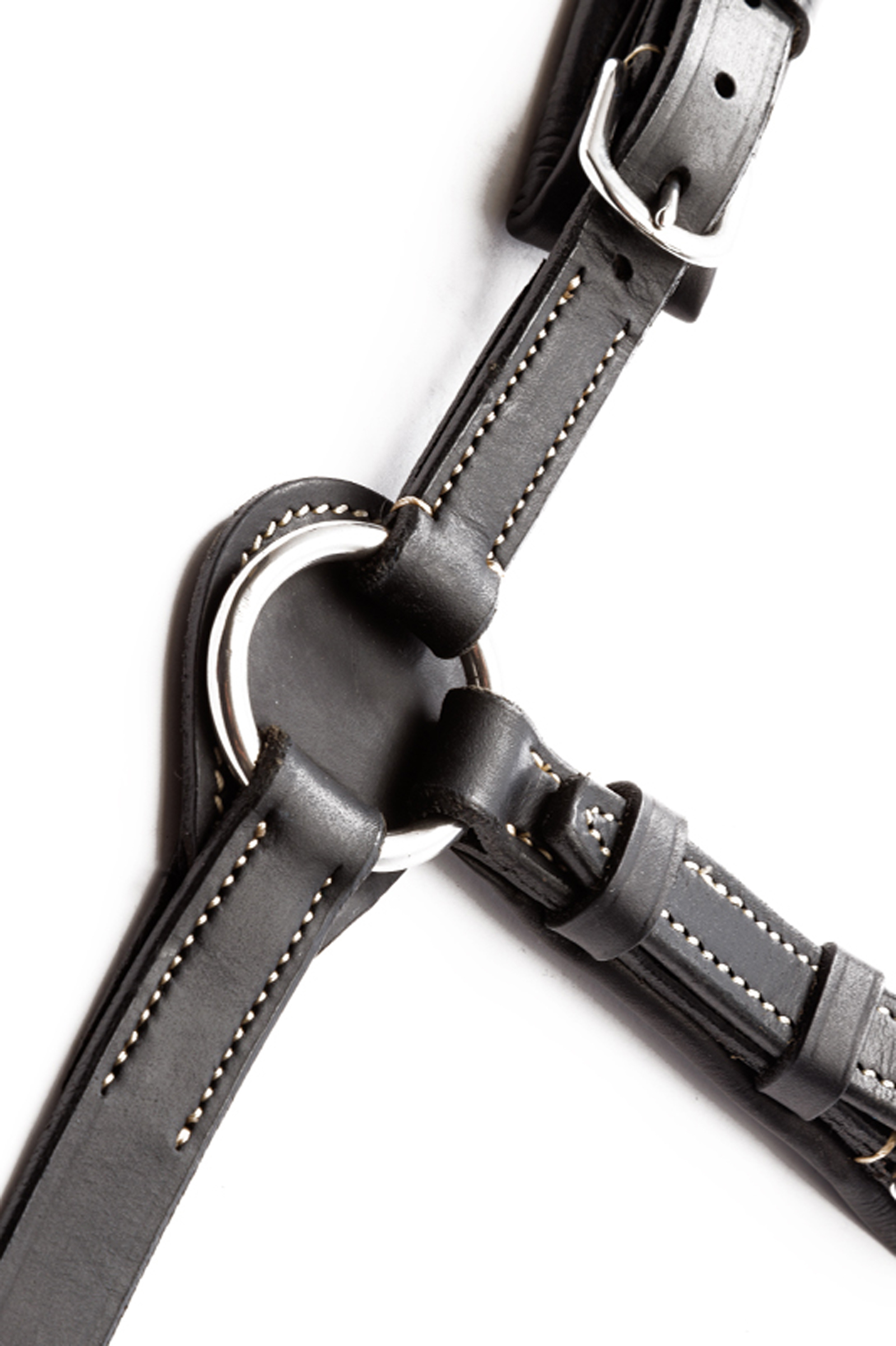 Kavalkade Jerome 2-Punkt Brustblatt