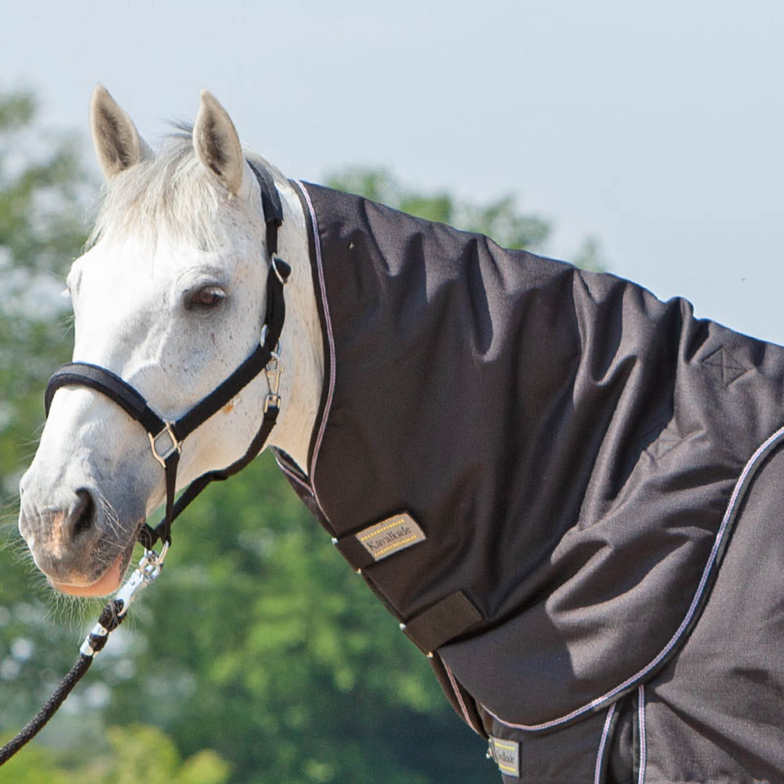 Black Kavalkade Halsteil f&uuml;r Alaska IV, 100 g