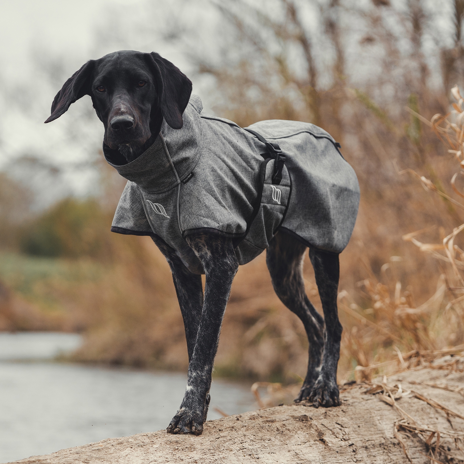 Back on Track Bark All-Round Hundemantel, 25-35cm