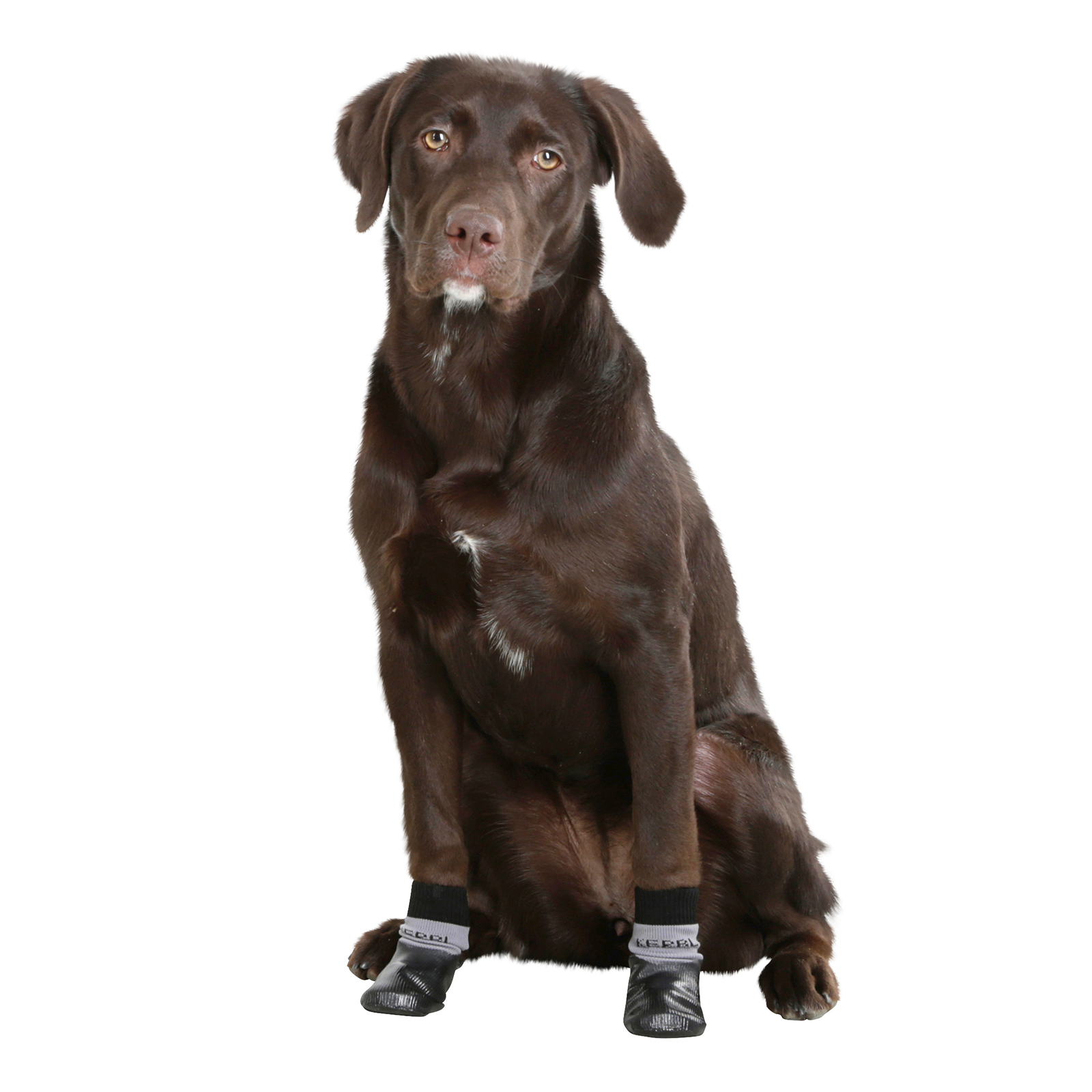 Kerbl Hundesocken Susi mit Nitril-Beschichtung, L-XL