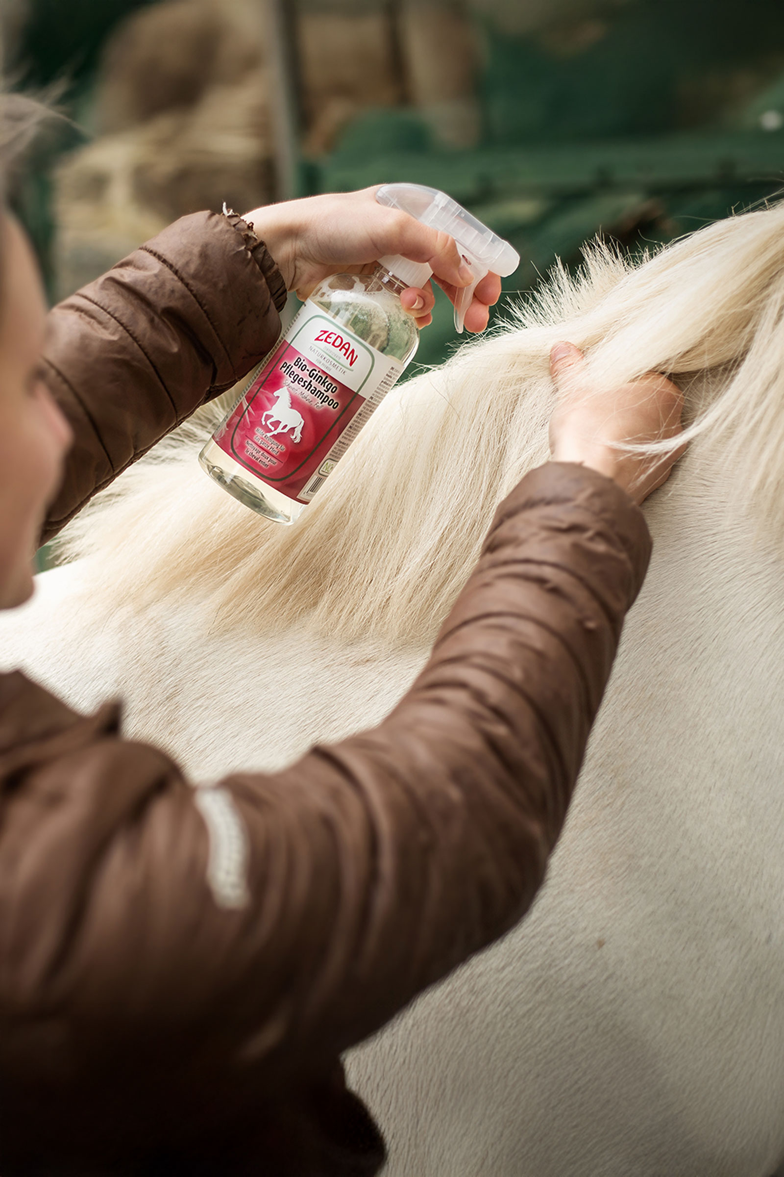 Zedan Bio-Ginkgo Pflegeshampoo, 500ml