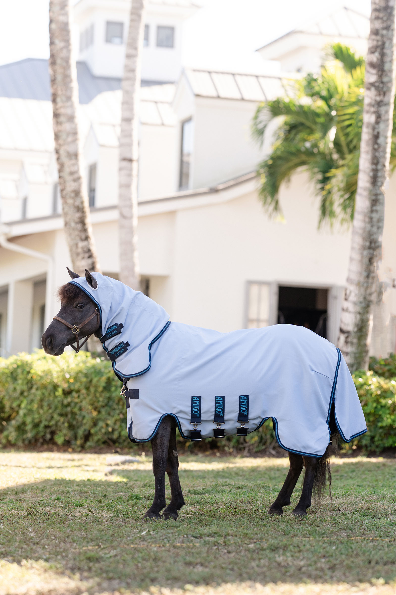 Azure Blue/Navy & Electric Blue Horseware Amigo Ripstop Hoody Petite, Fliegendecke