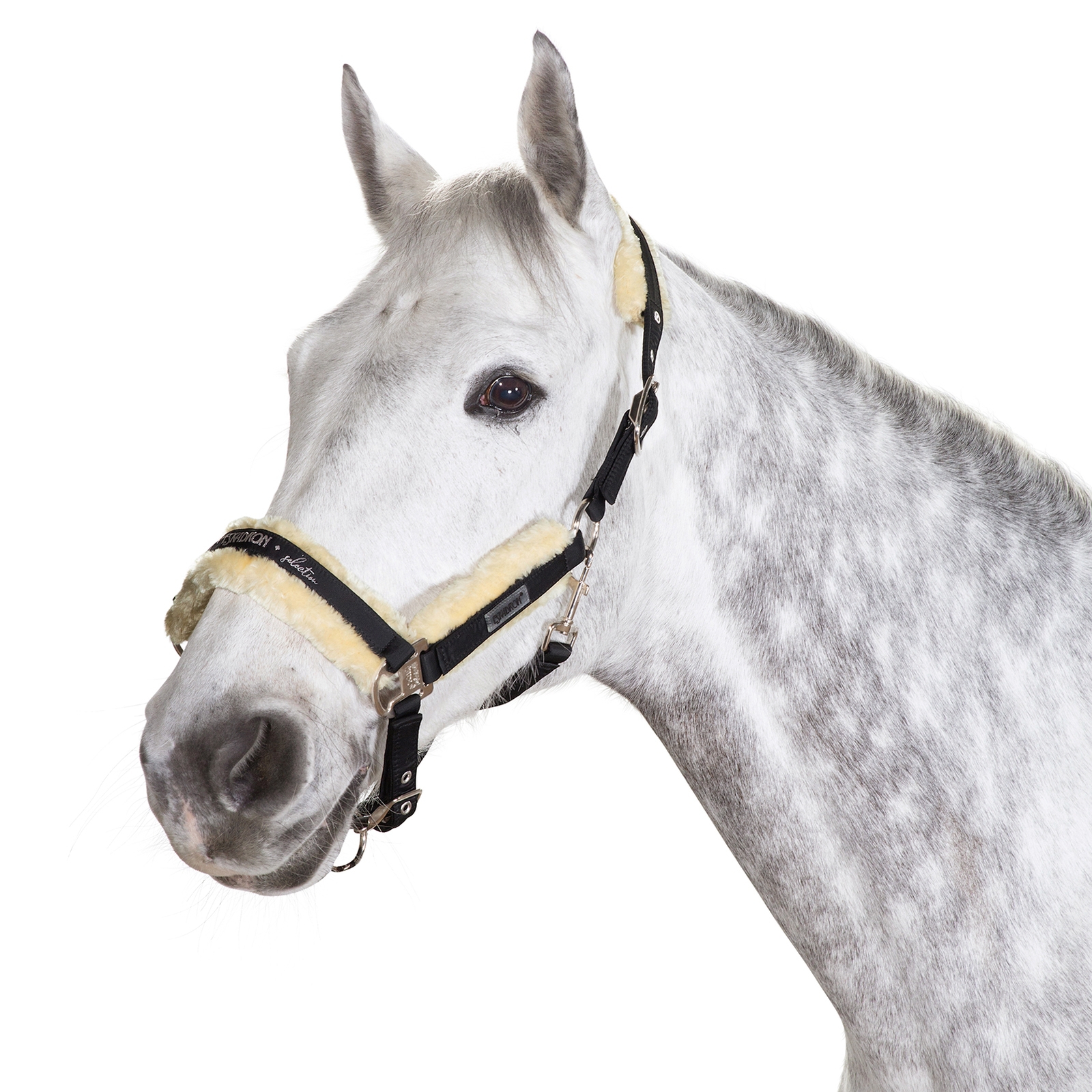 Eskadron Fauxfur-Halfter Dornschnalle