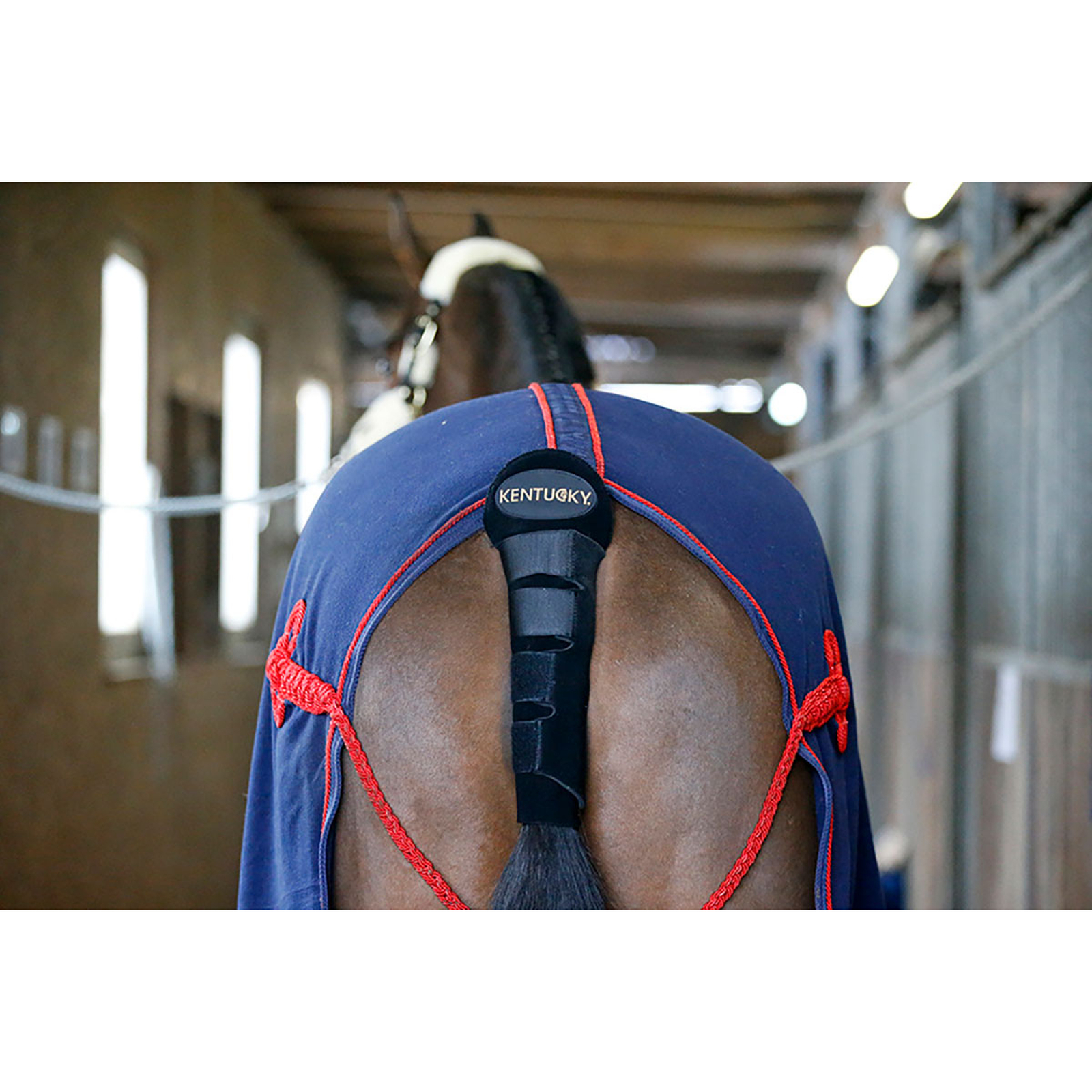 Kentucky Horsewear Schweifschoner / Schweiftasche