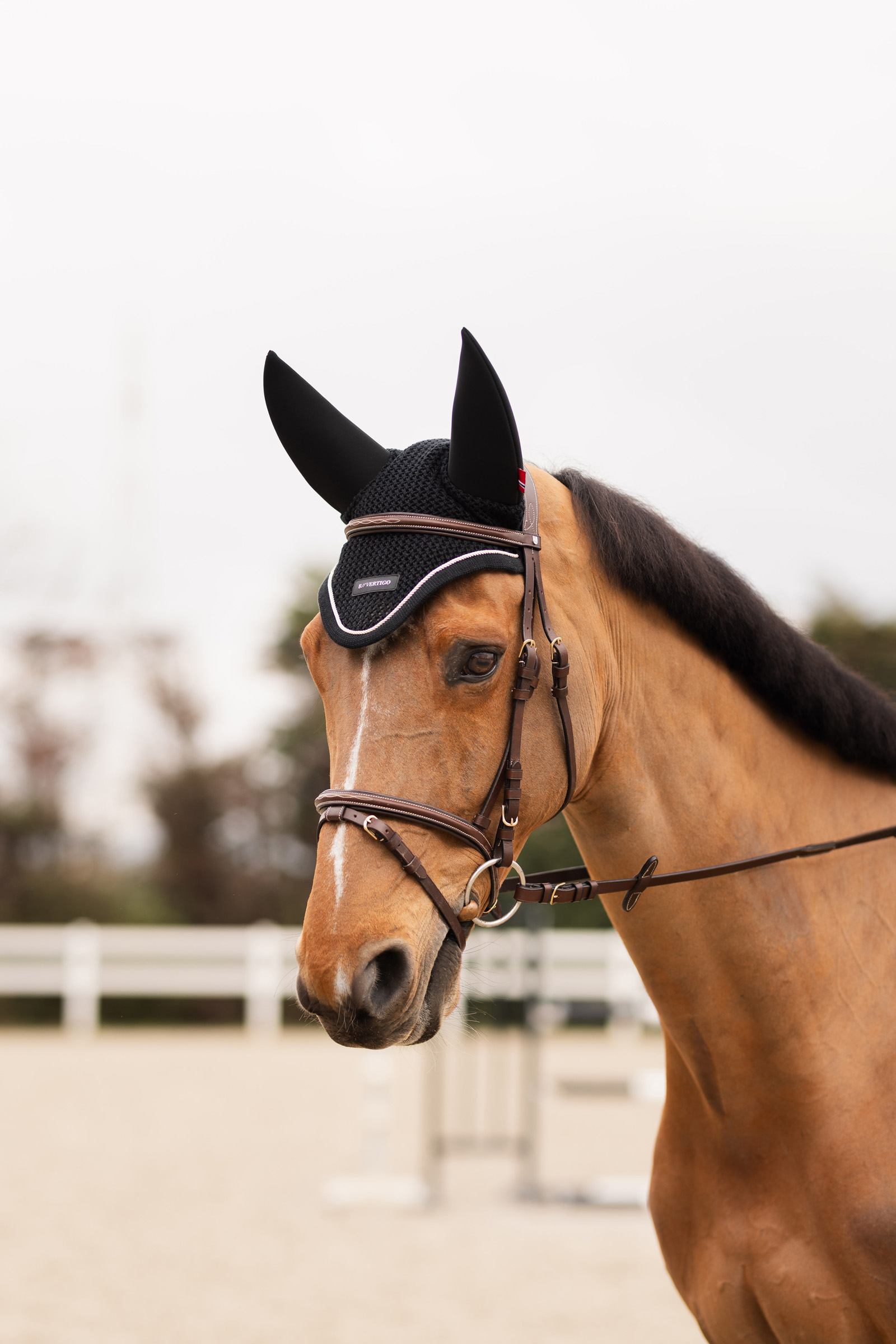 B Vertigo Rouge Reflexion Fliegenhaube