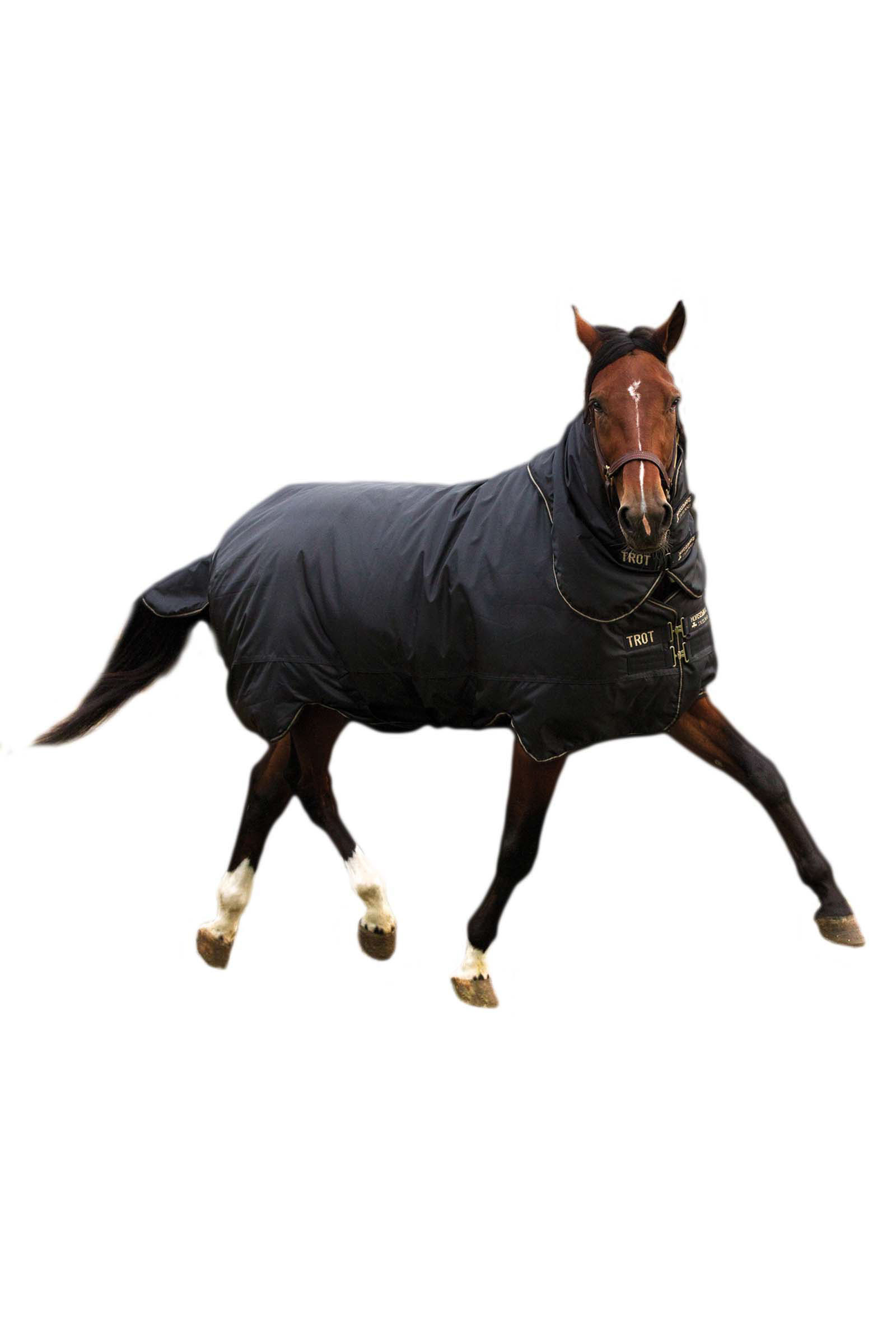 Horseware Trot Plus Winterdecke mit abnehmbarem Halsteil, 350g