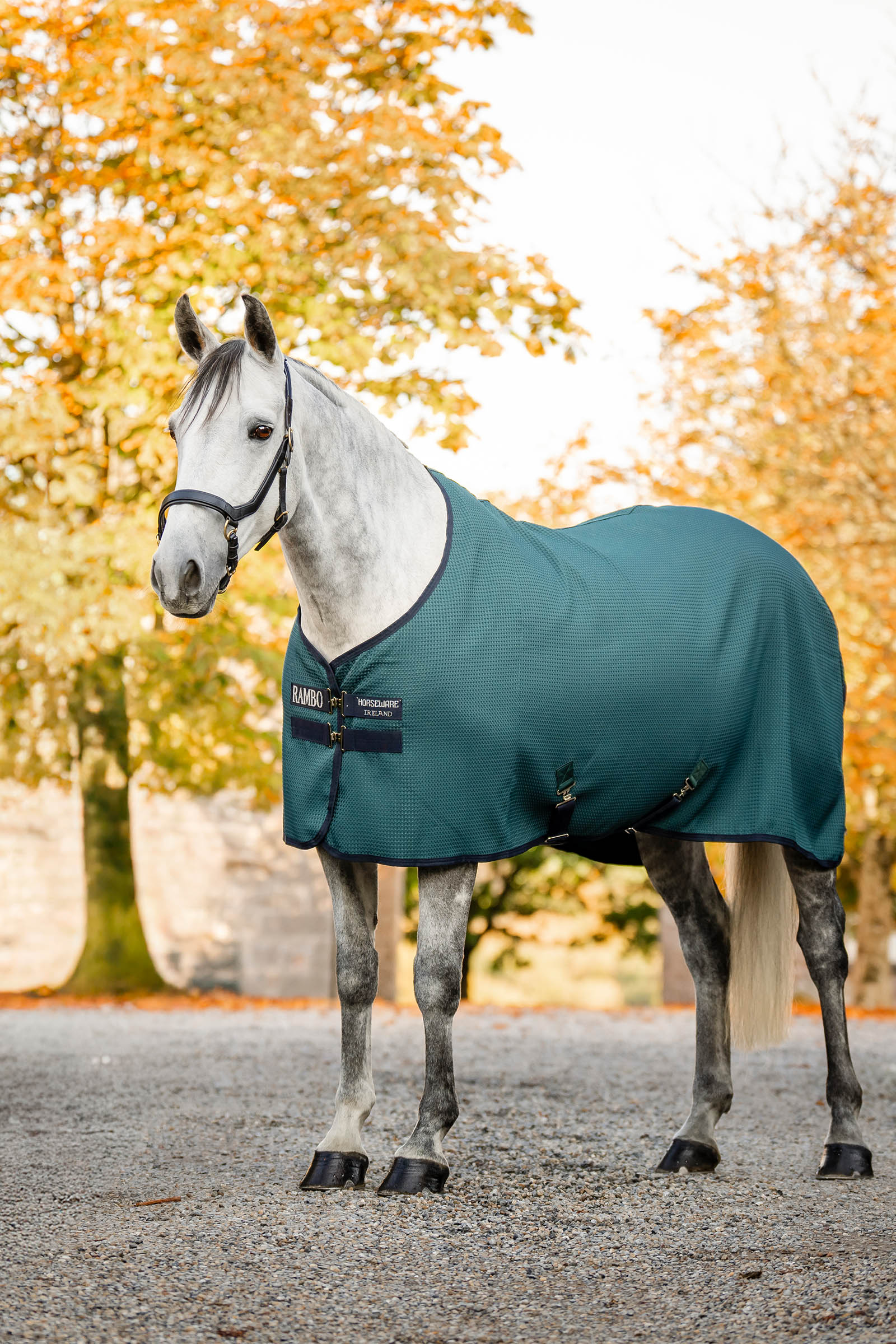 Horseware Rambo Techni Waffle chemise s&eacute;chante