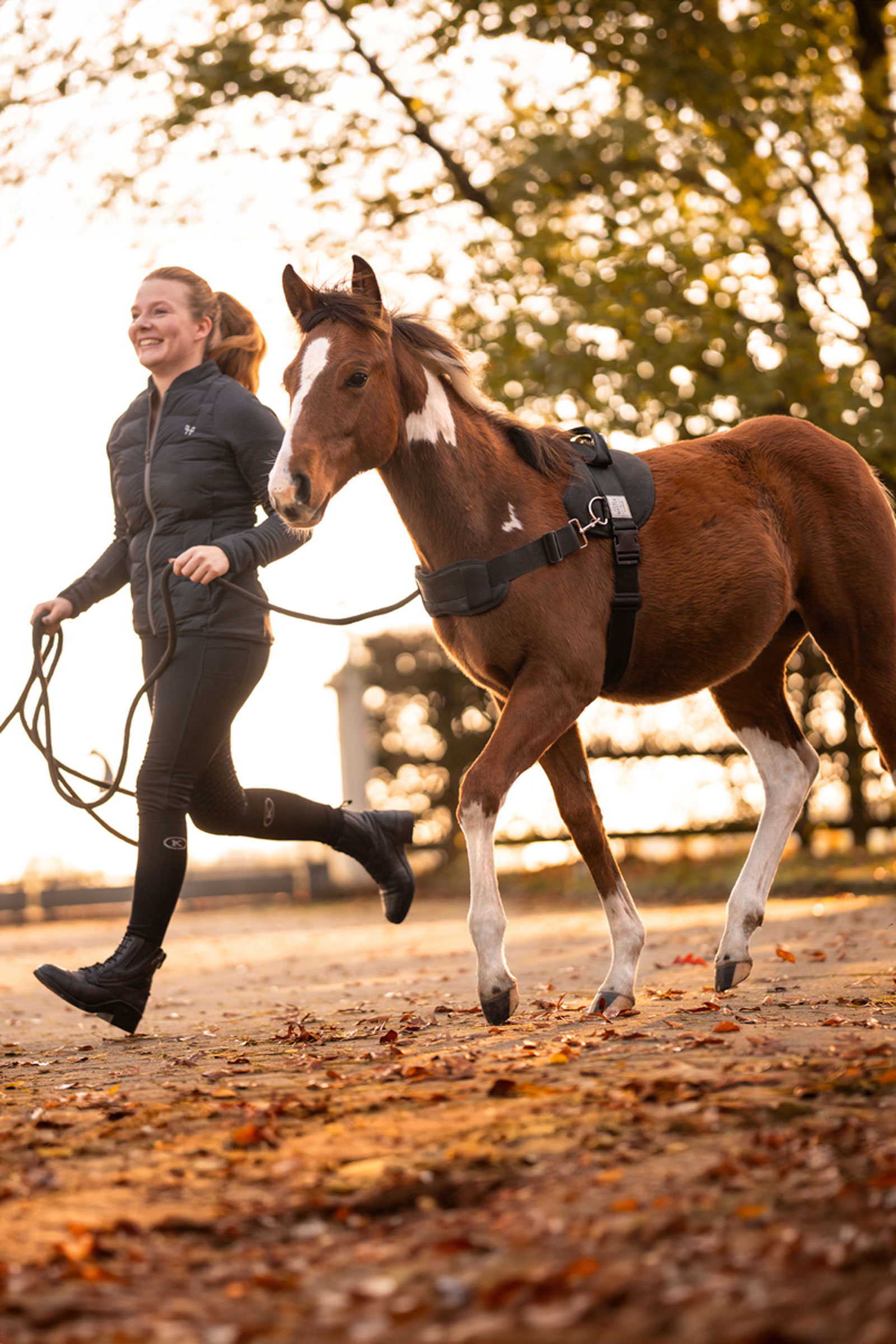 Kavalkade Foalmaster Fohlen-Set mit Griff