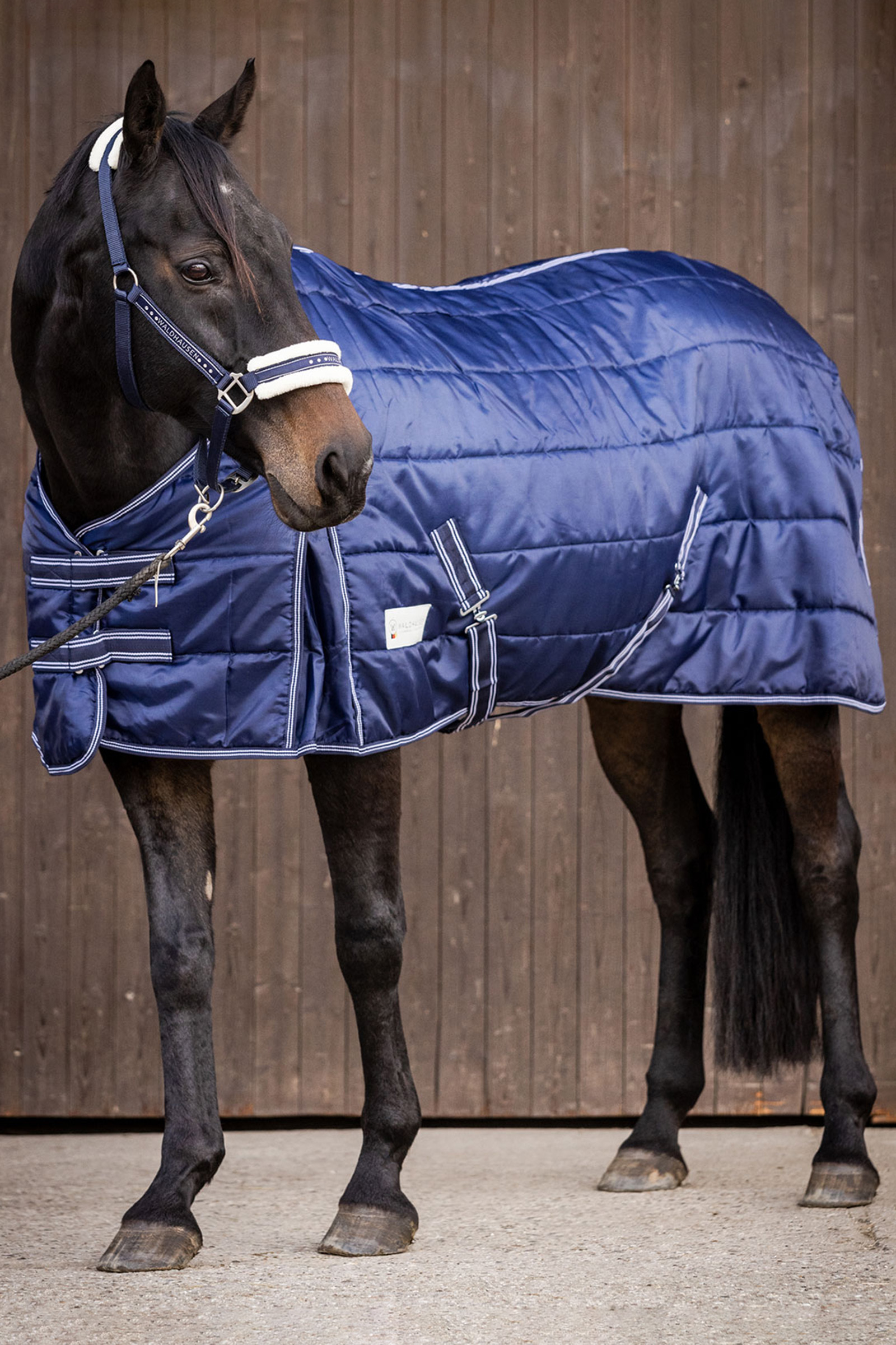 Waldhausen Stable Rug Economic 300 g