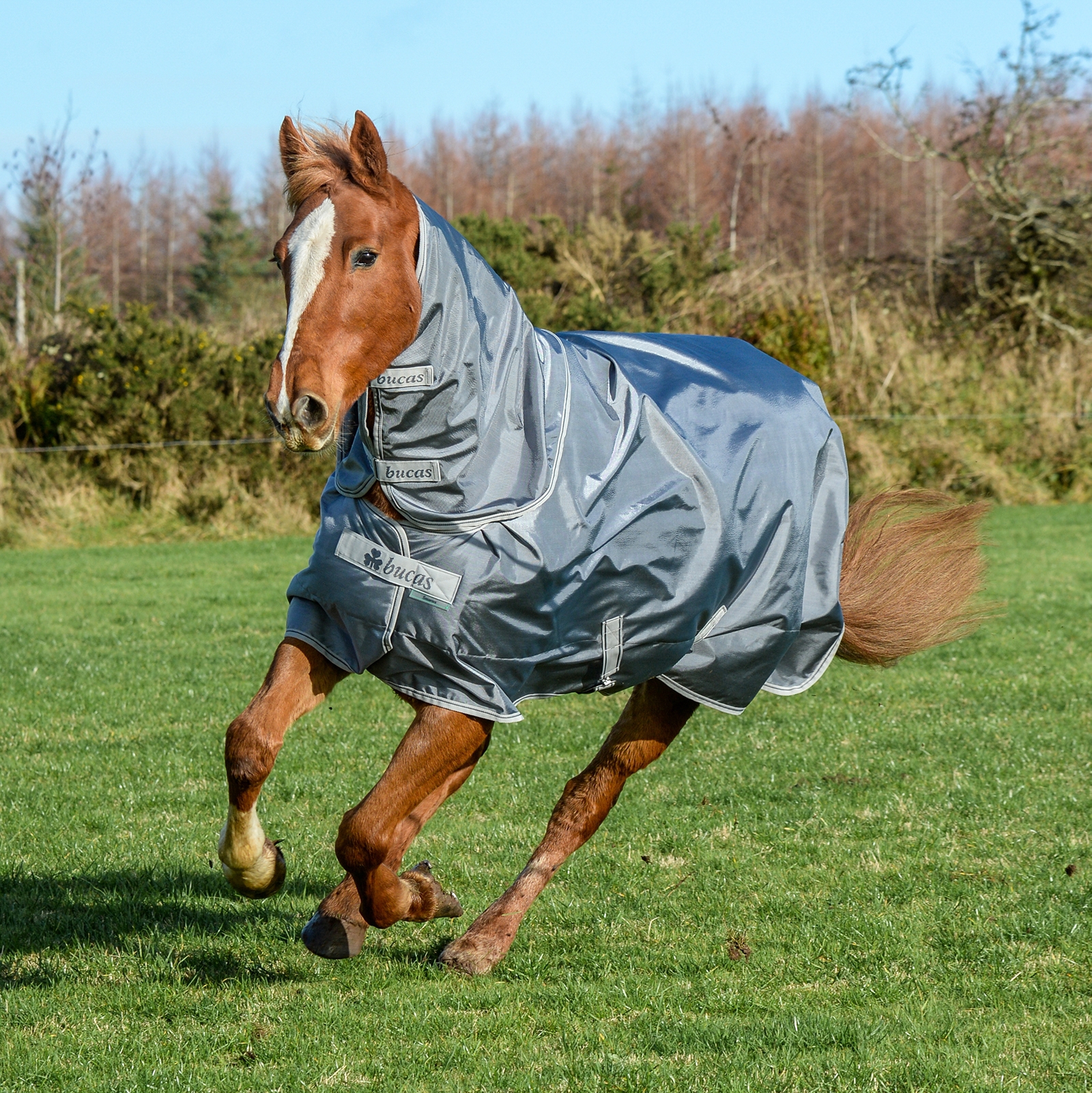 Iron Grey Bucas Smartex Combi Neck Halsteil 300