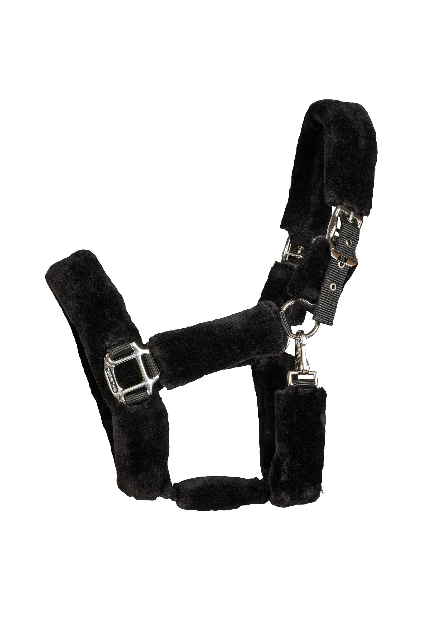 Back on Track Audrey Halfter