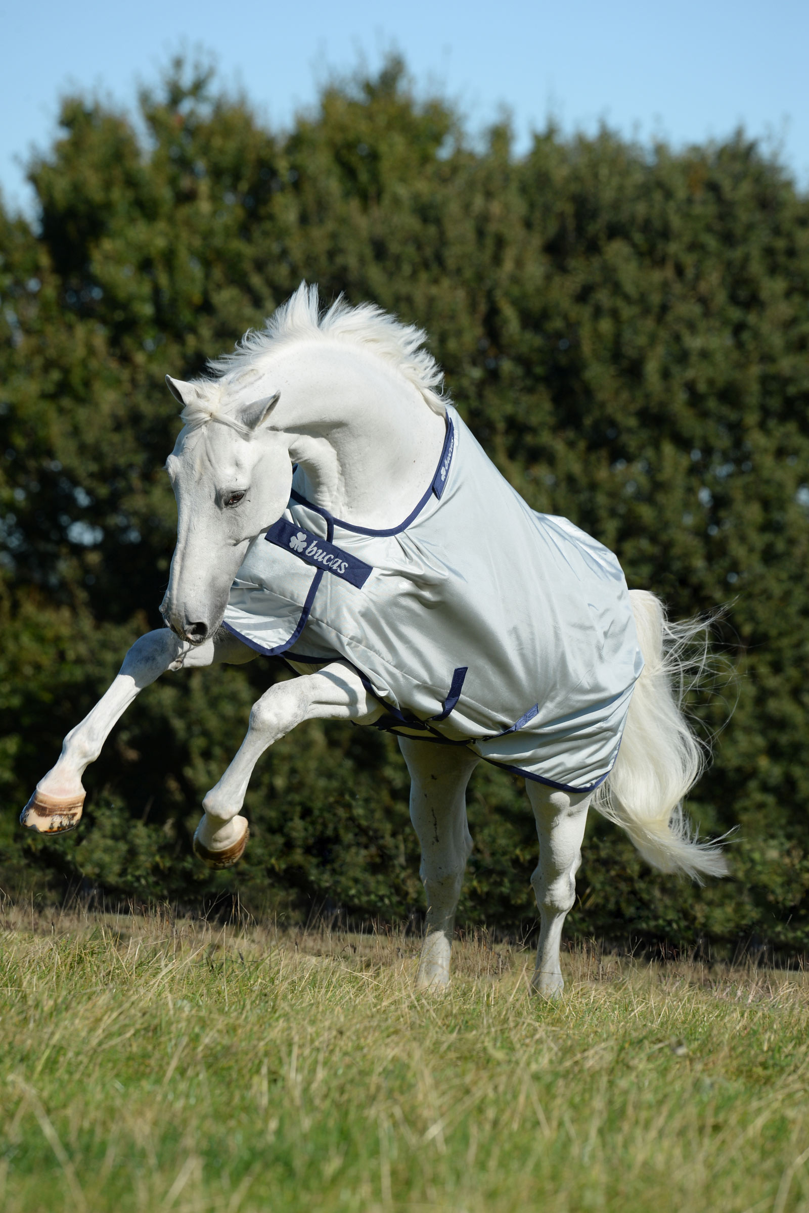 Bucas Power Weidedecke mit weitem Halsausschnitt, 0g