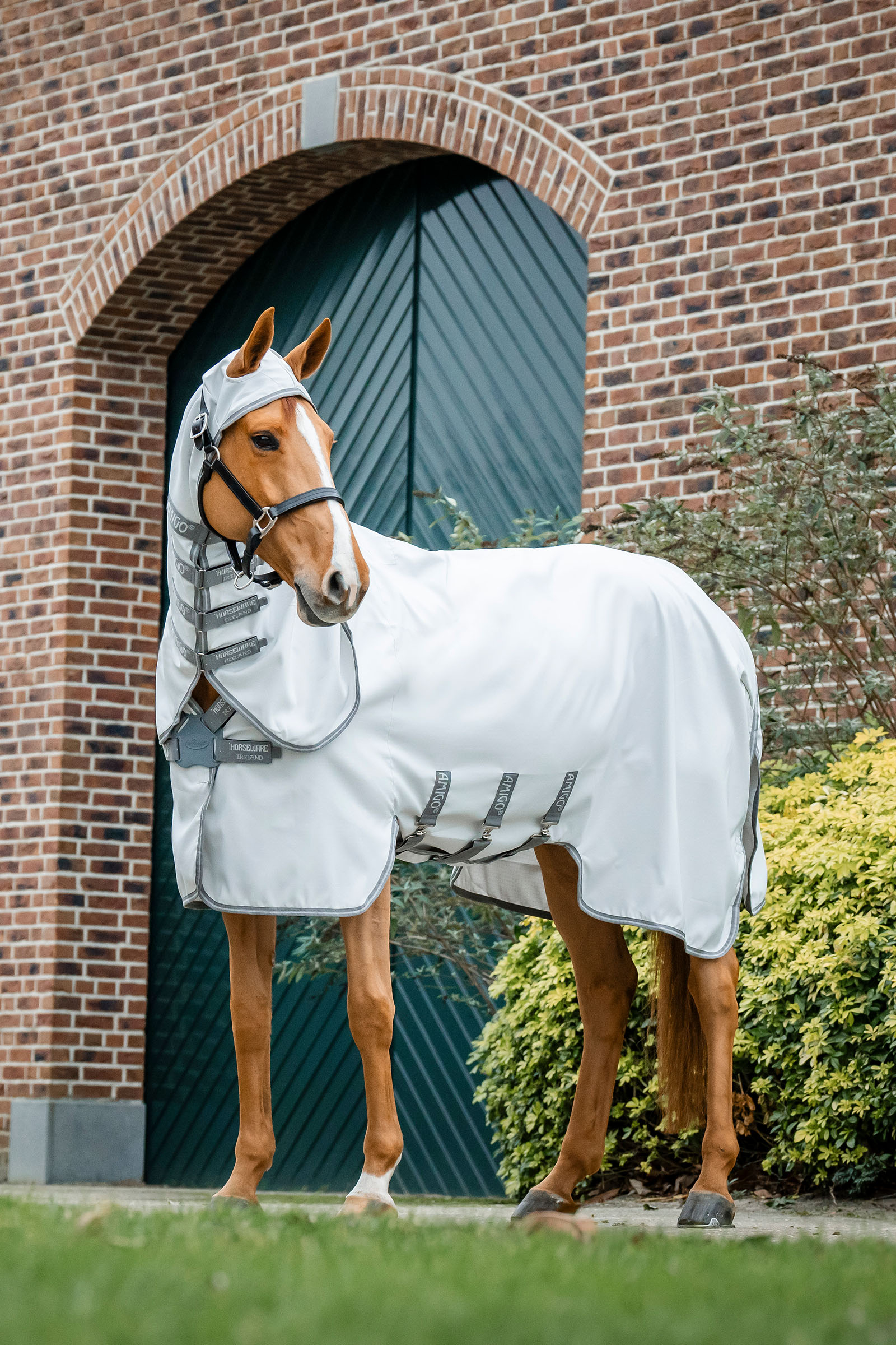 Horseware Amigo Ripstop Fliegendecke