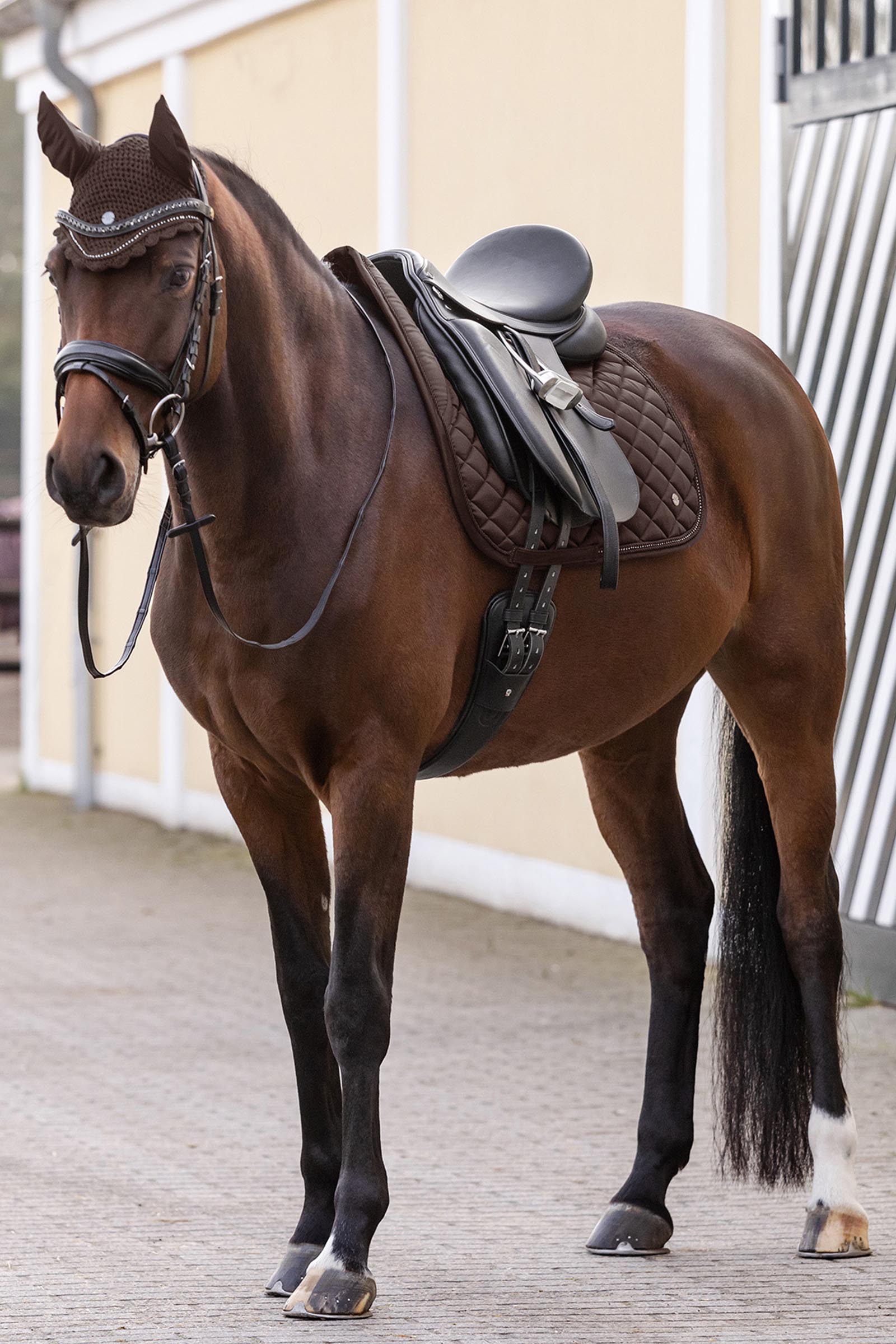 Waldhausen Nepal Dressur Schabracke