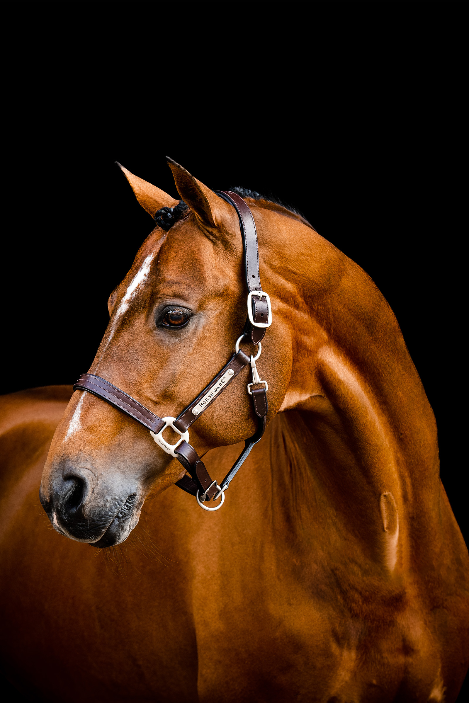 Horseware Signature Lederhalfter