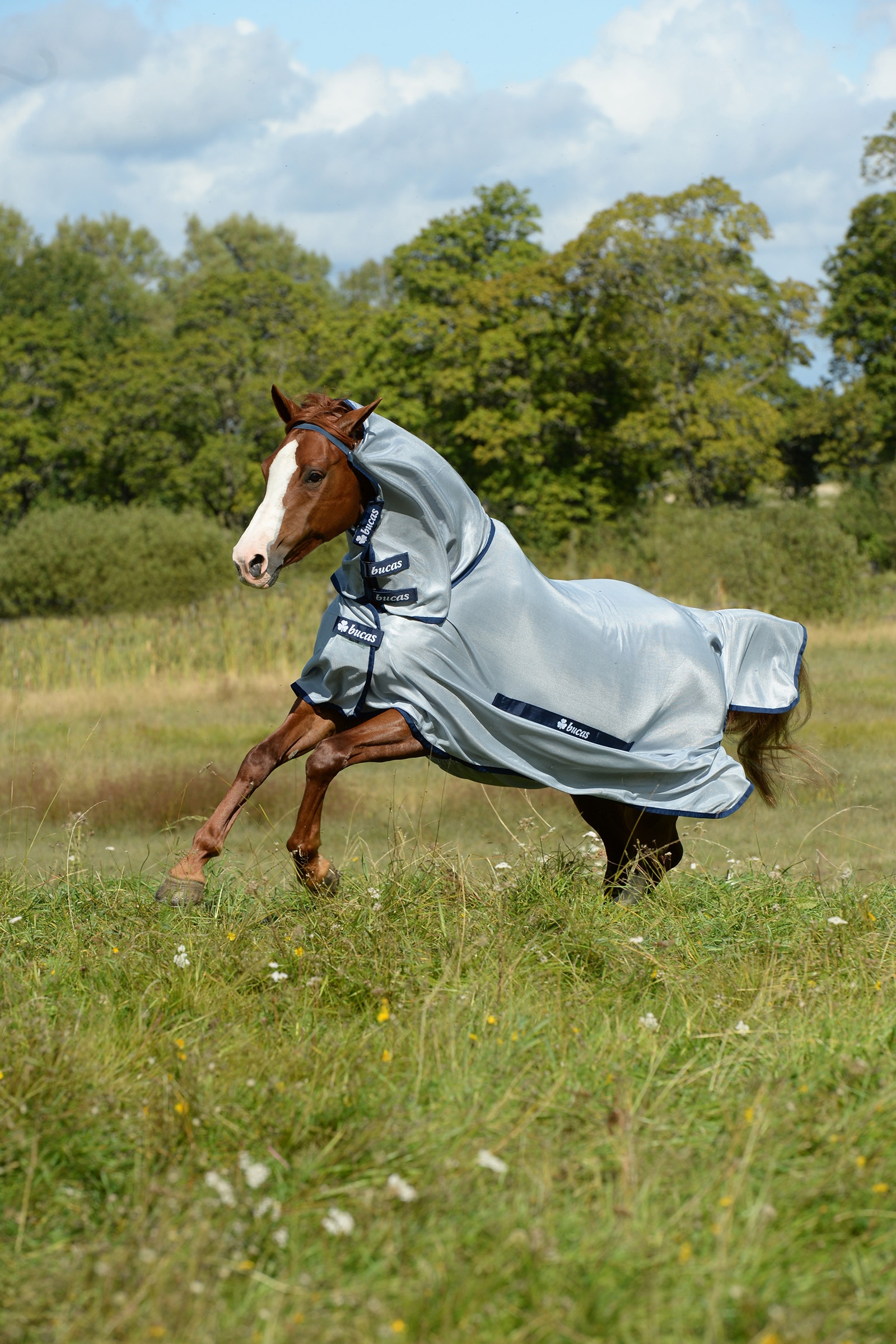 Bucas Buzz-Off Full Neck Fliegendecke Pony mit festem Halsteil