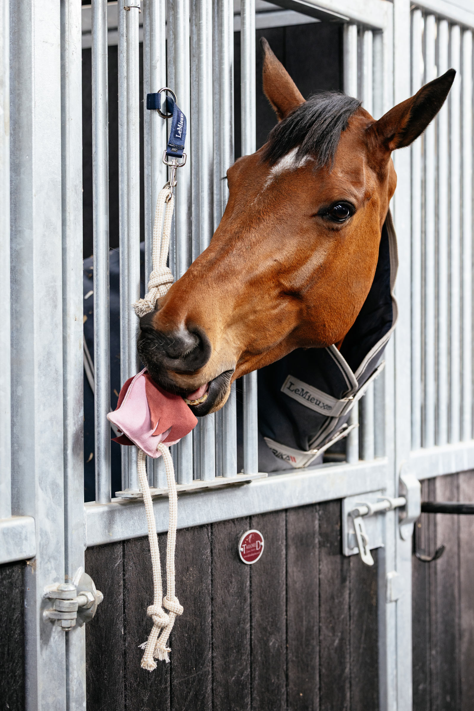 LeMieux Pferdespielzeug Flamingo