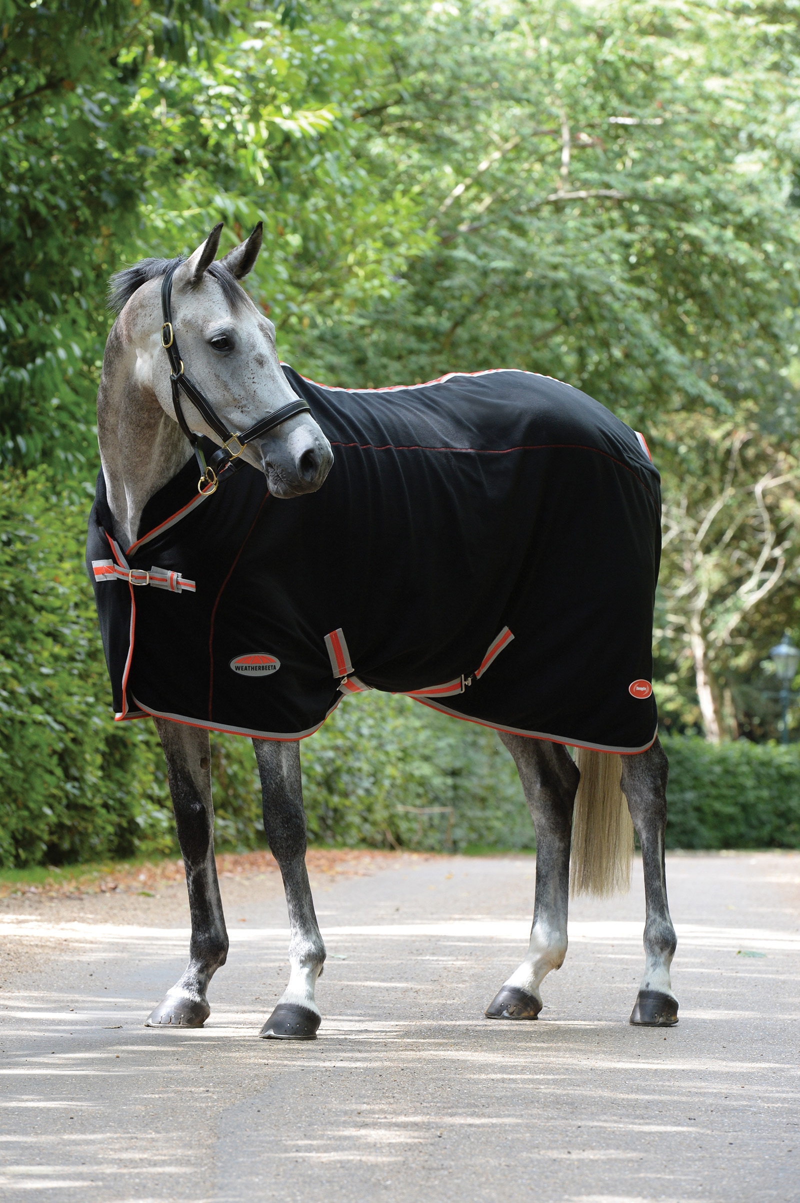 Weatherbeeta Therapy-Tec Decke Standard Neck