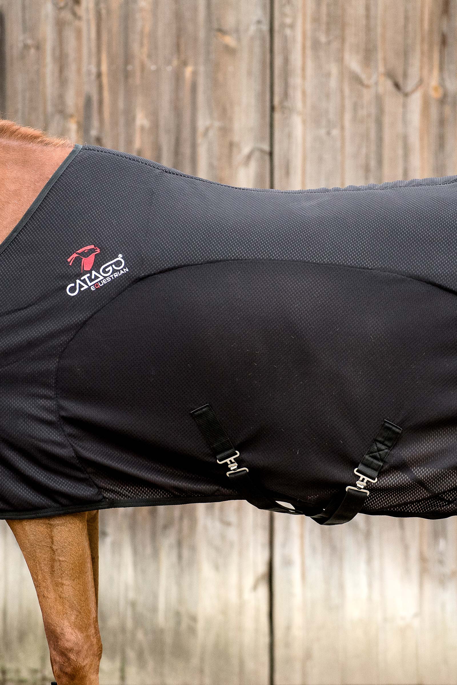 CATAGO FIR-Tech Decke