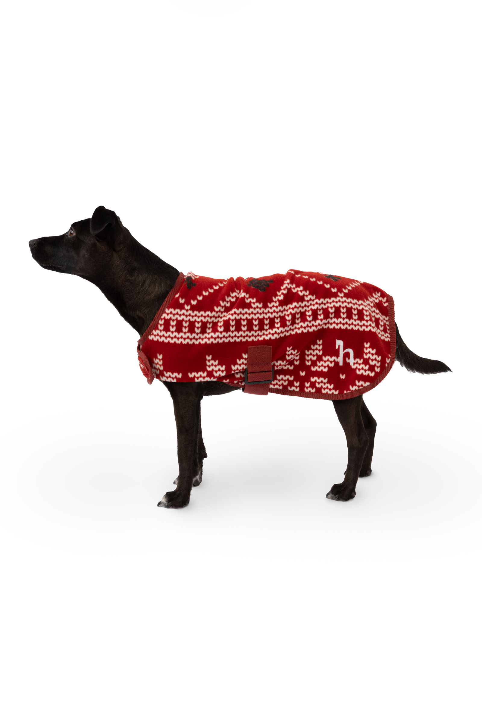 Horze Weihnachts-Hundepullover