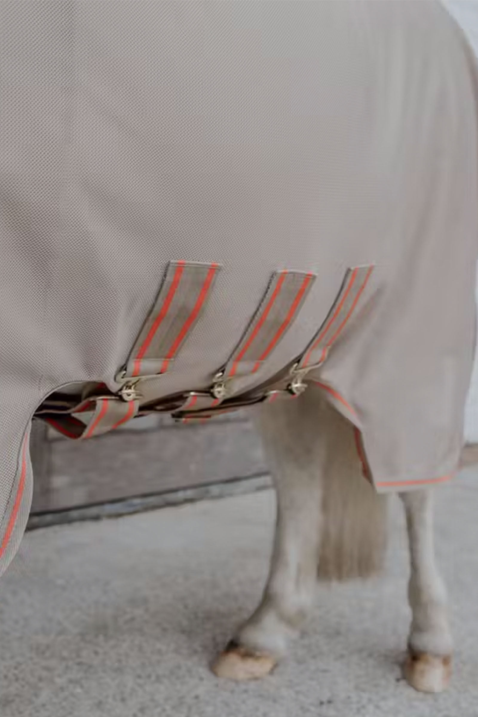 Kentucky Horsewear Mesh Fliegendecke Comfort