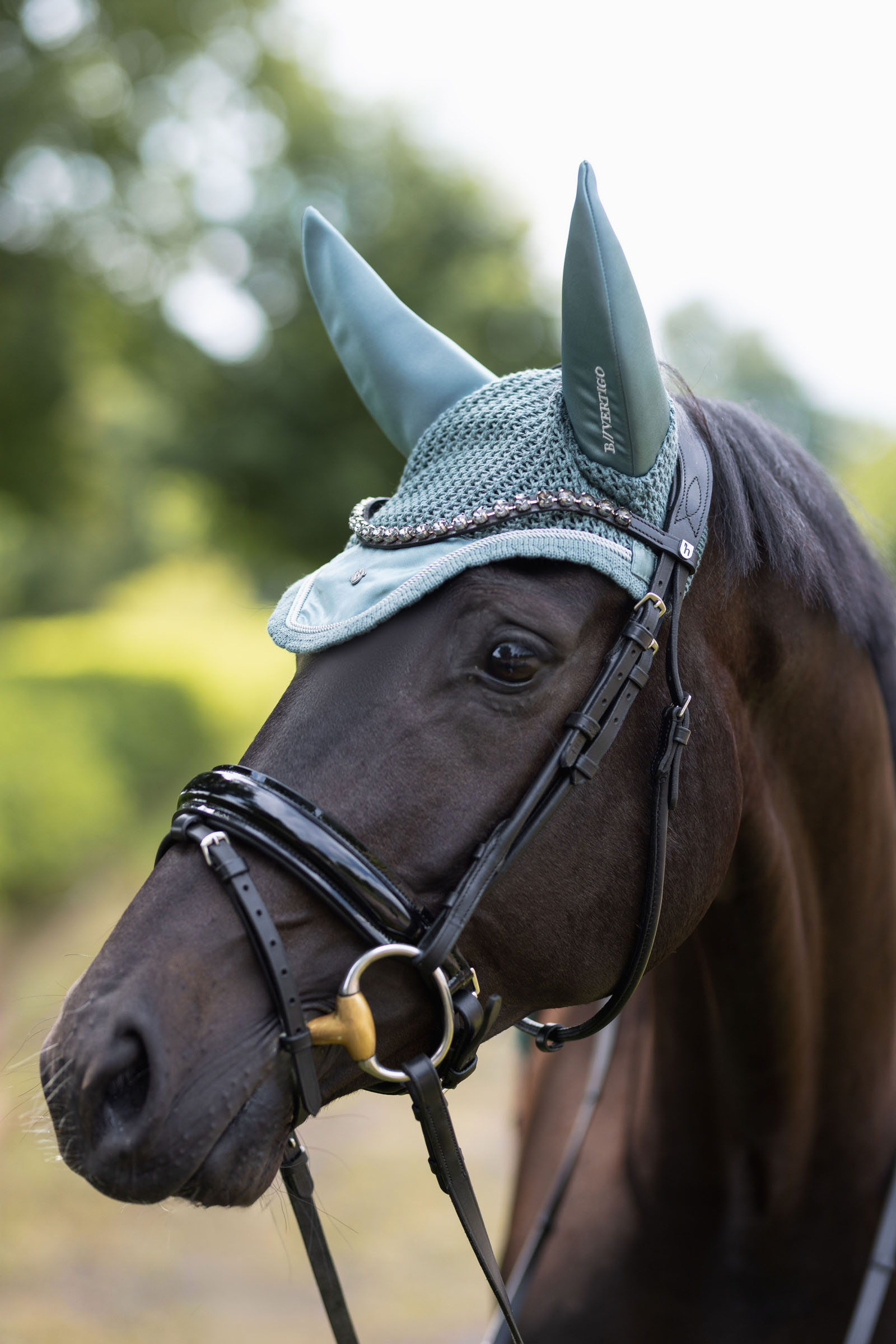 B Vertigo Fliegenohren Pure Engineering