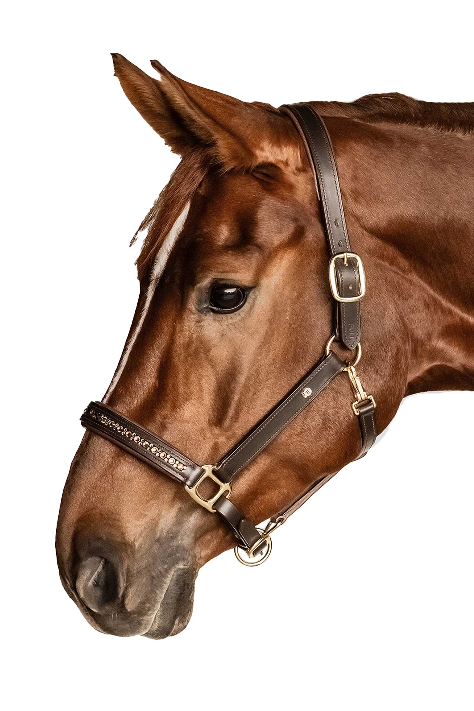 Waldhausen X-Line Crystal Lederhalfter