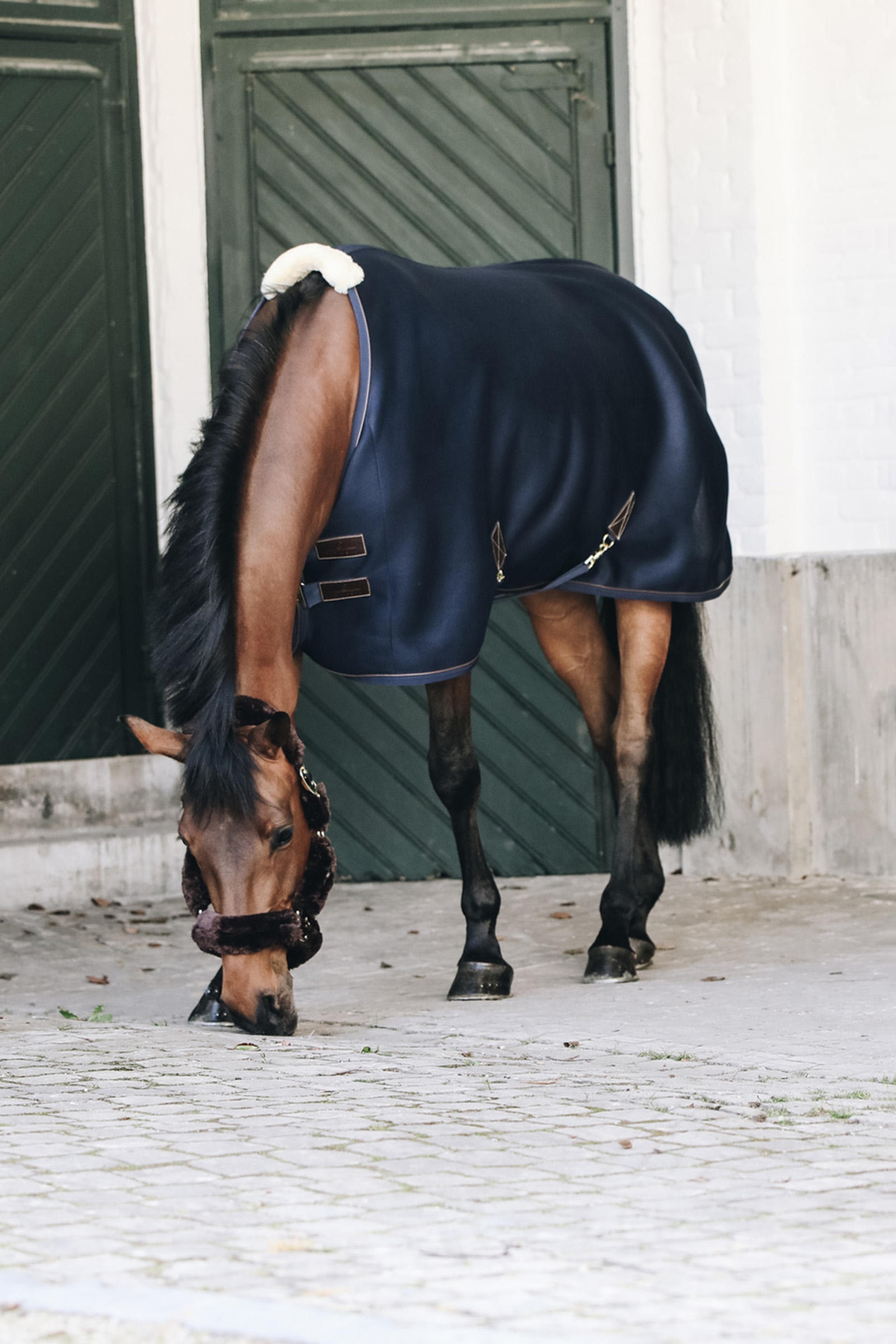 Kentucky Horsewear 3D Spacer Abschwitzdecke