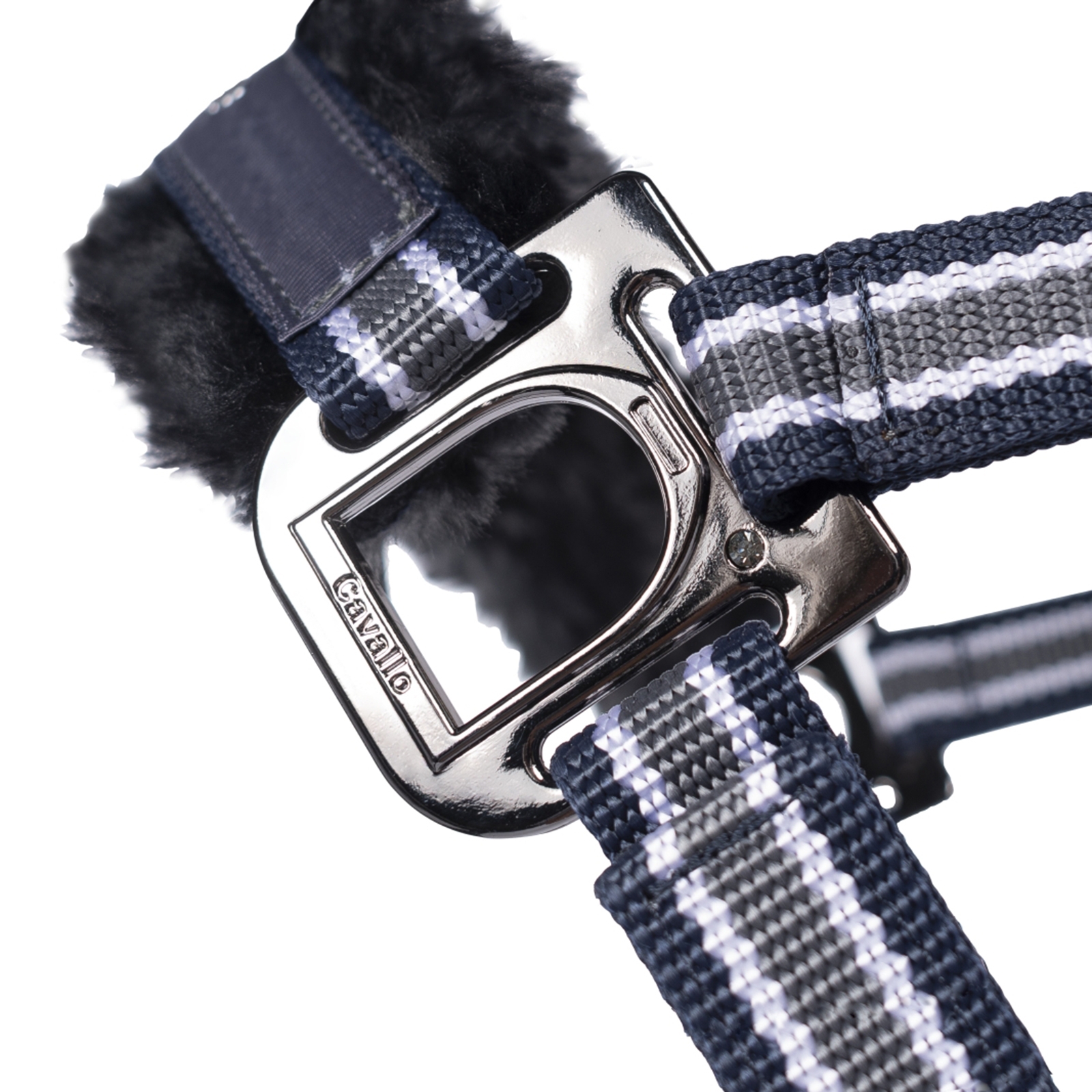 Cavallo CavalHelia Halfter