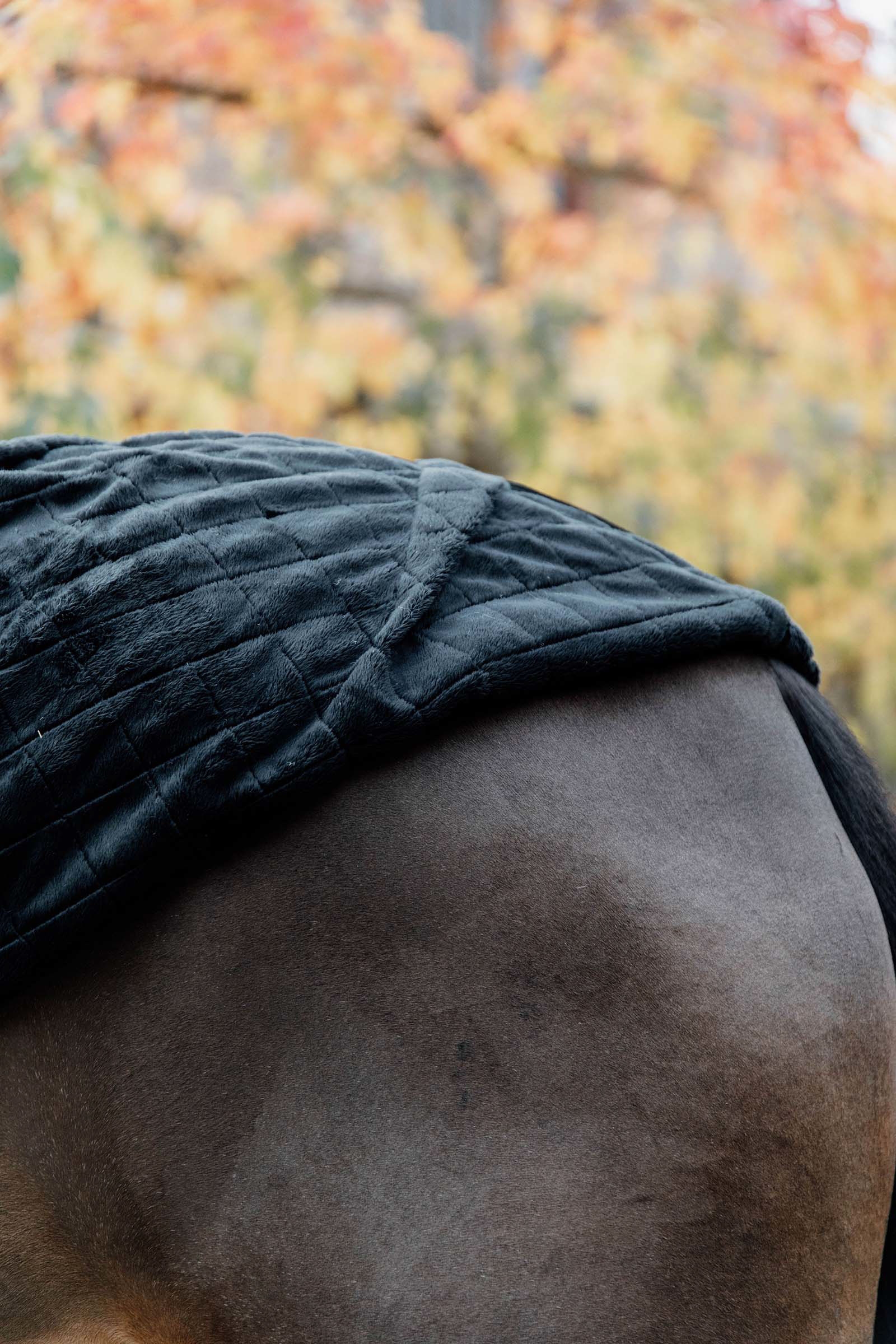 Kentucky Horsewear Stalldecke, 0g