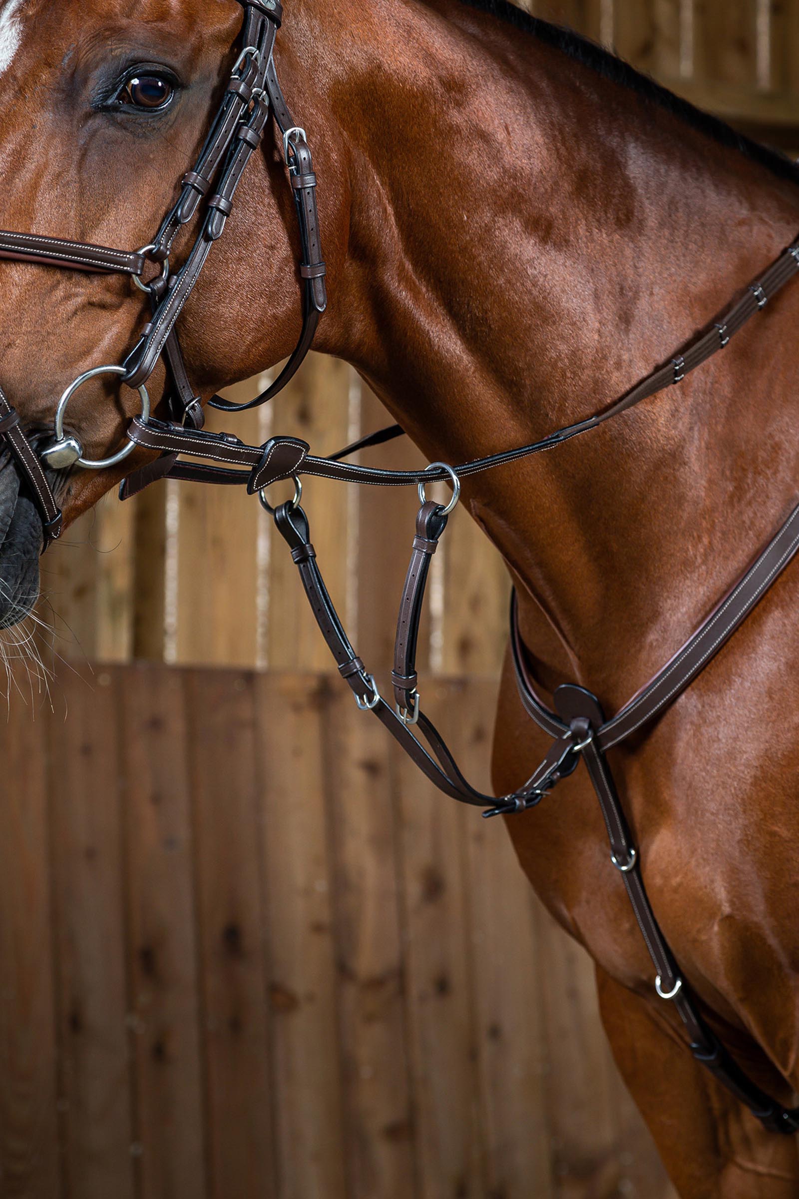 Brown Dy'on Working Martingalgabel