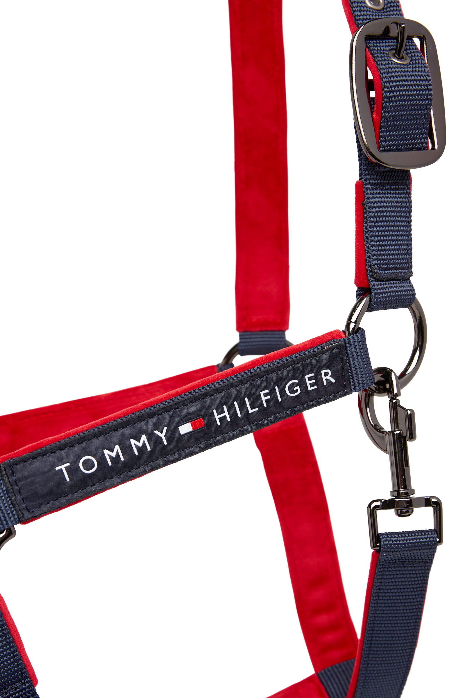 Tommy Hilfiger Equestrian GLOBAL Halfter