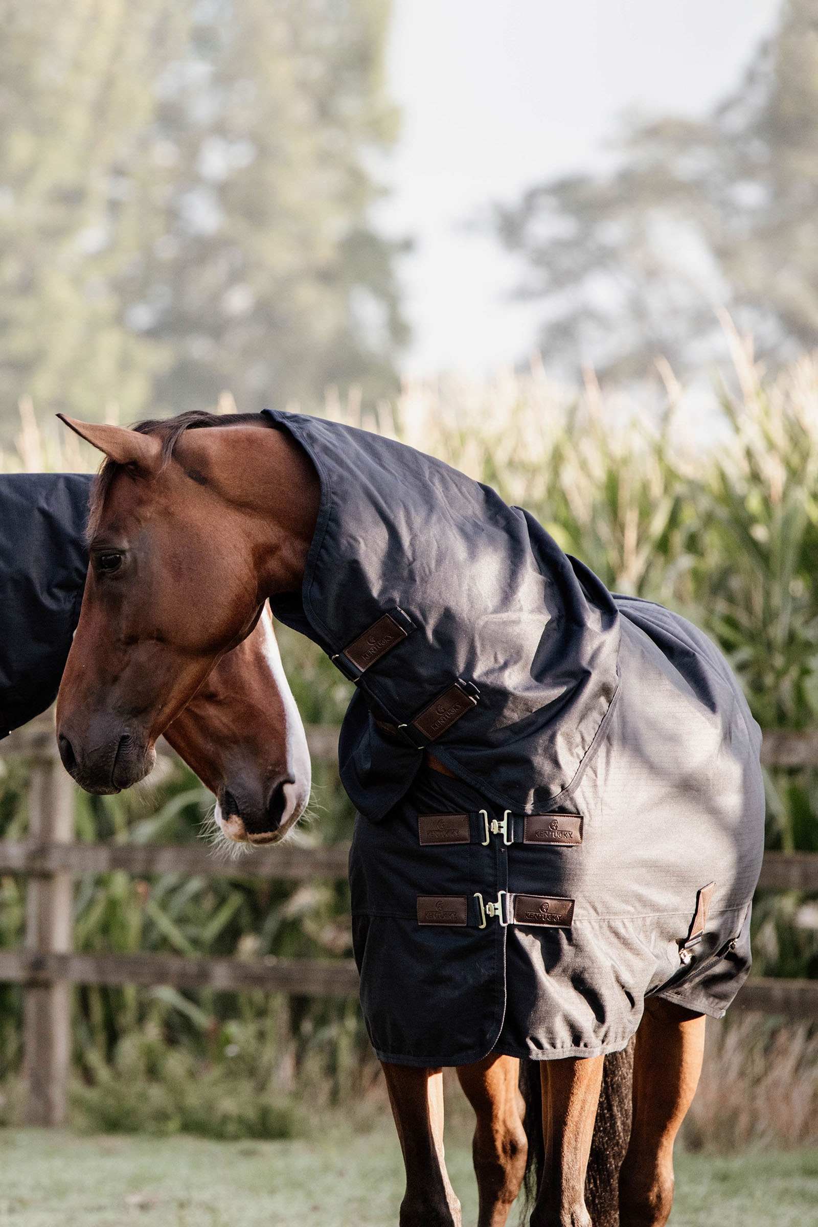 DB/AB Kentucky Horsewear All Weather Waterproof Classic Regendecke, 0g