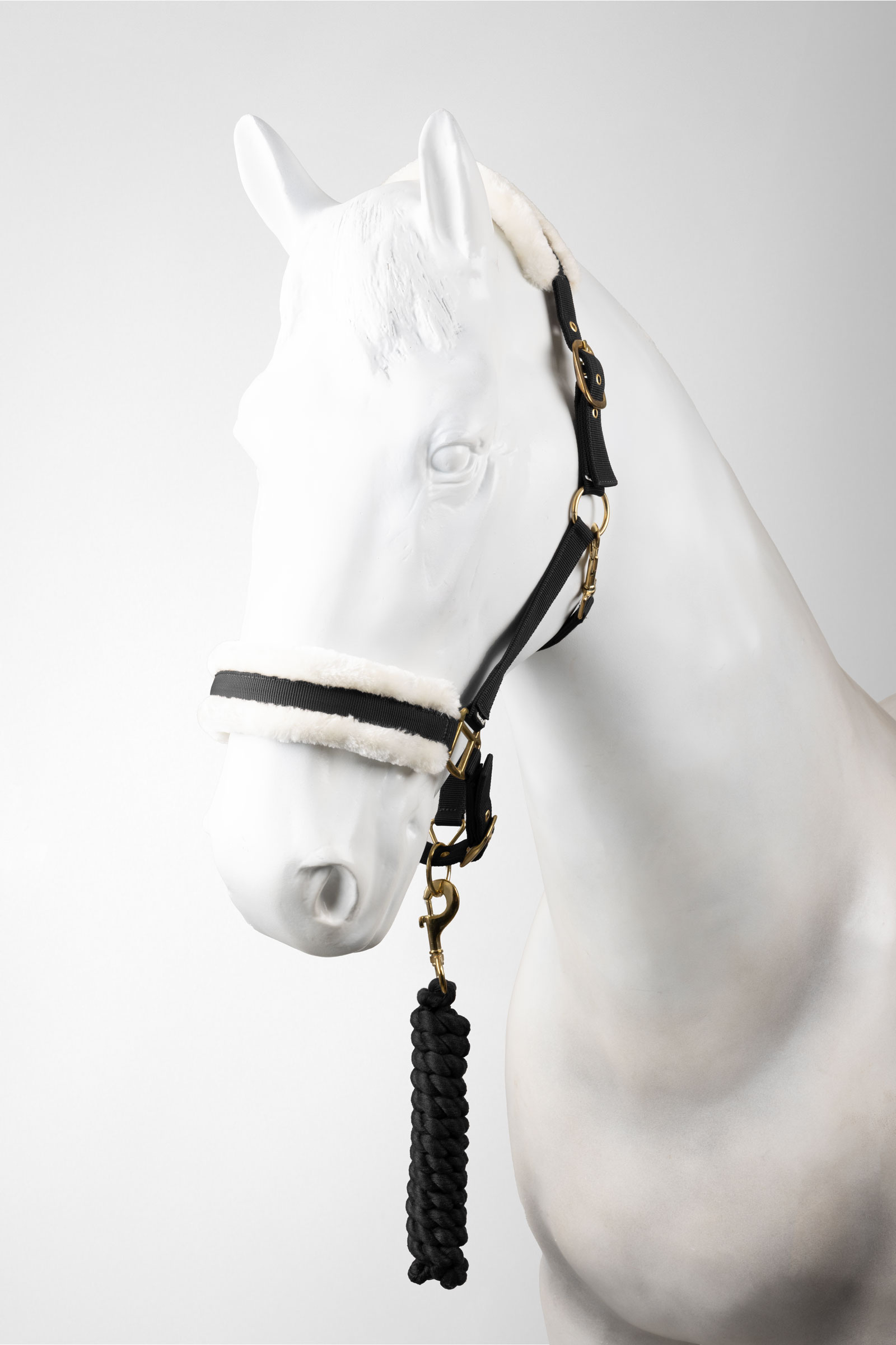 Black Horze Halfter & F&uuml;hrstrick Set