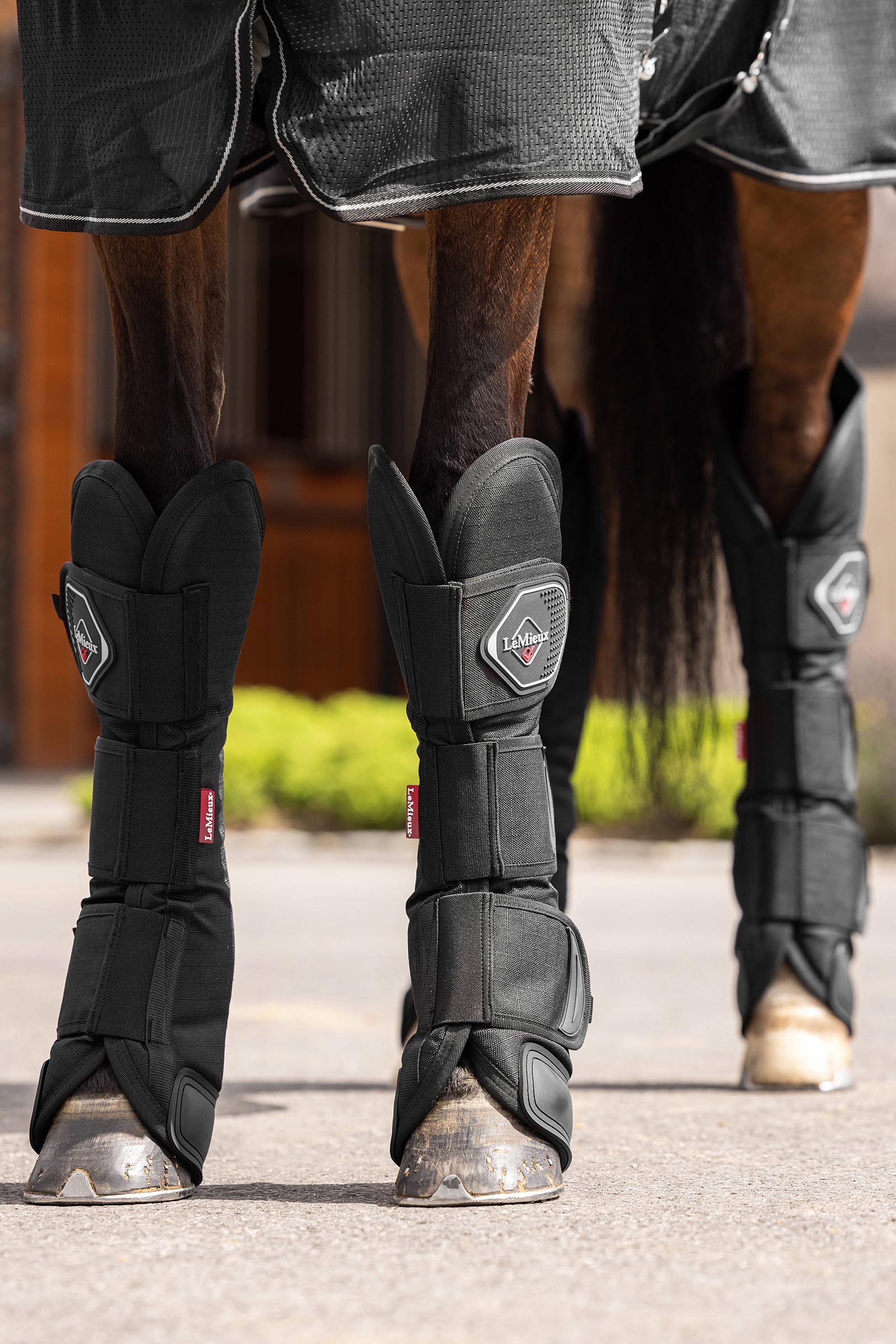 LeMieux Transportgamaschen