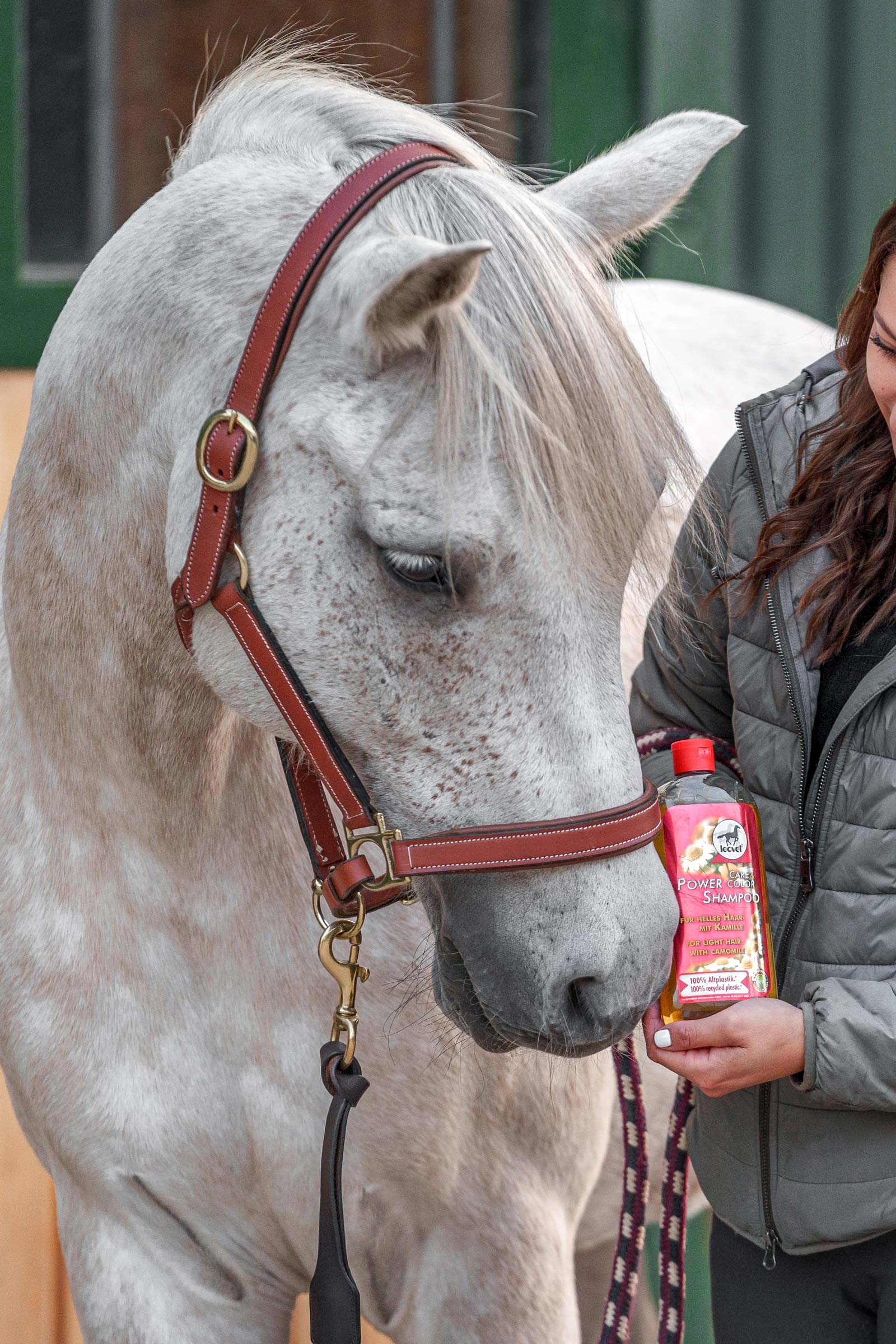 Leovet Power Shampoo Kamille für helles Haar