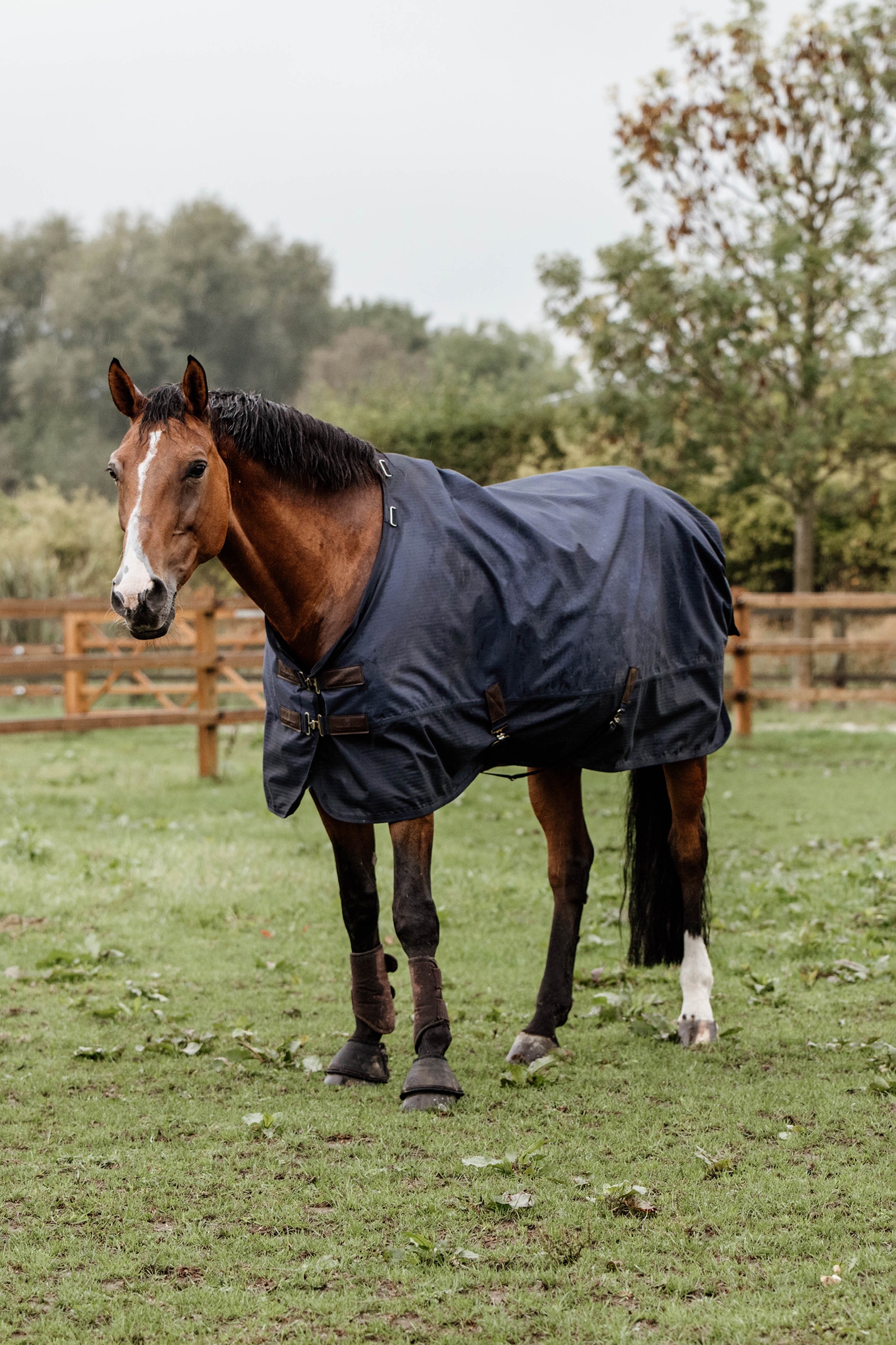 Kentucky Horsewear All Weather Weidedecke,  300g