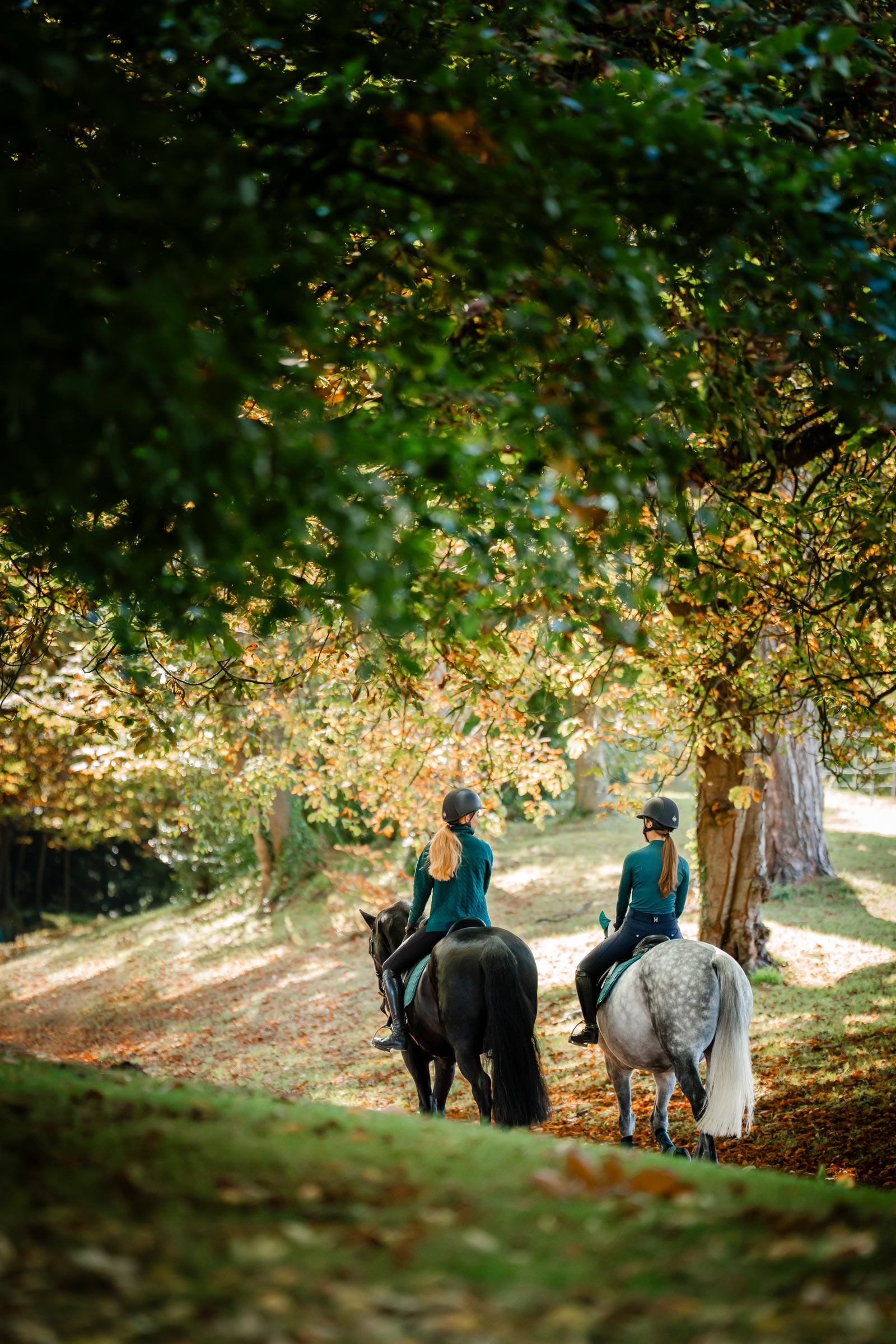 Horseware Strive Winter Damen 1/4 Zip Oberteil