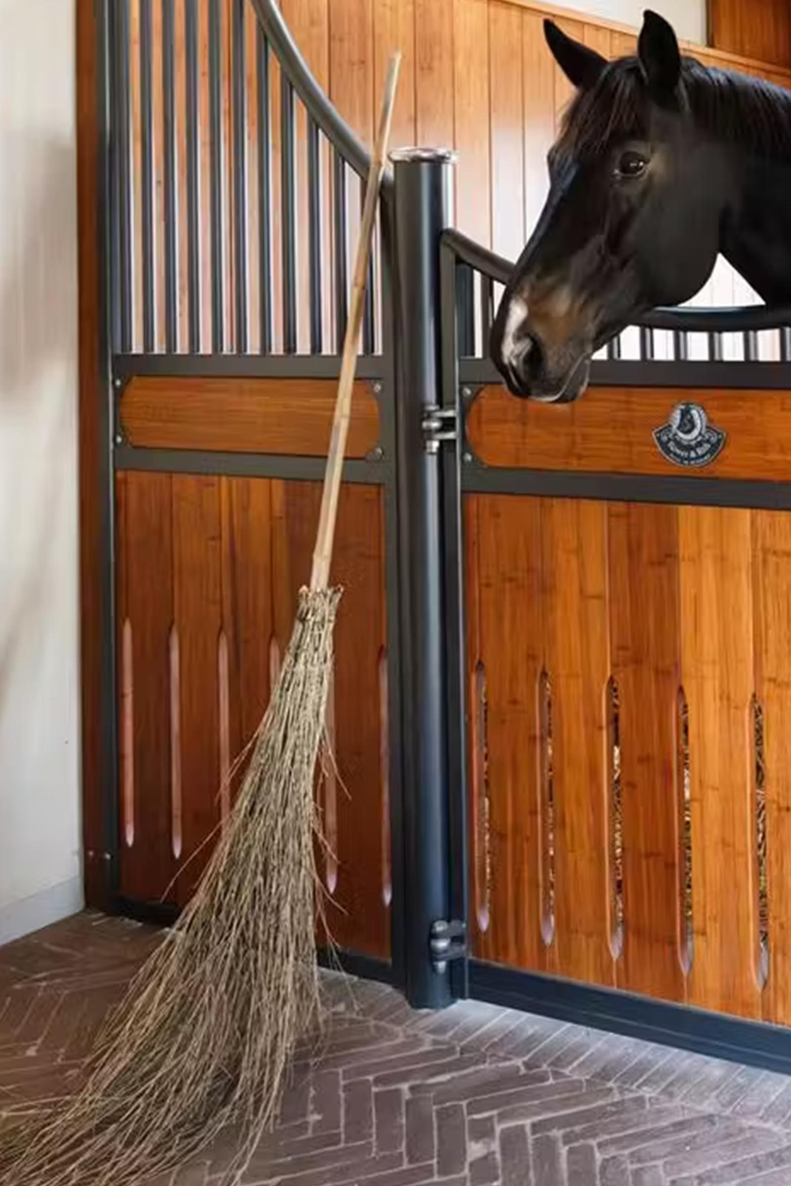 Grooming Deluxe Bambusbesen  