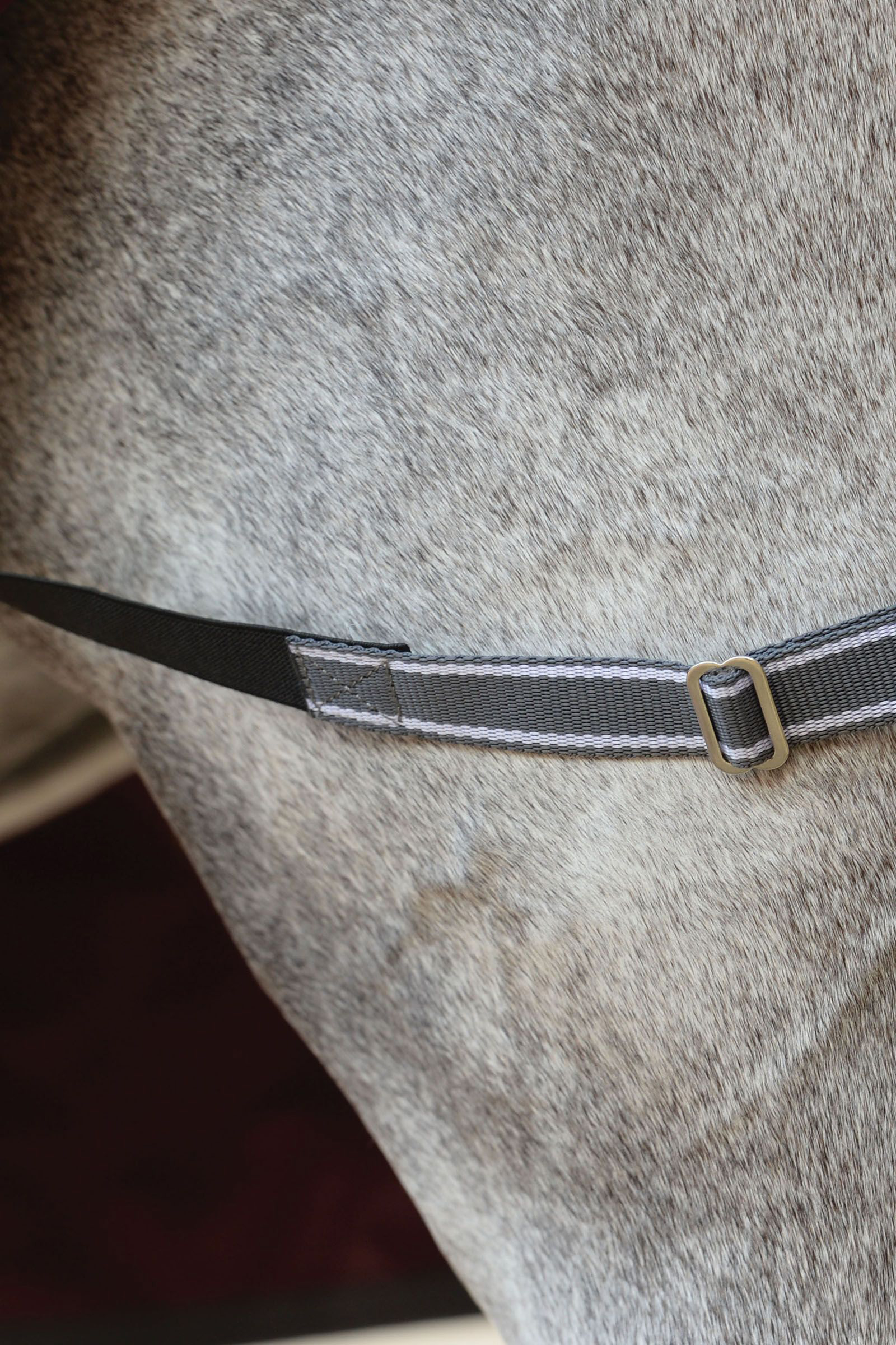 Weatherbeeta Comfitec Plus Dynamic II Weidedecke mit integriertem Halsteil, 220g