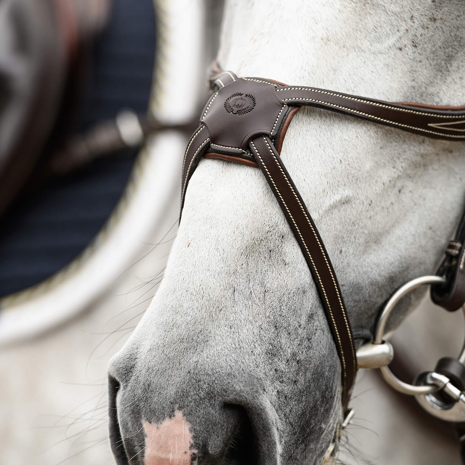 PS of Sweden Athens Mexikanische Trense