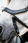 Horseware Micklem 2 Multi Trense