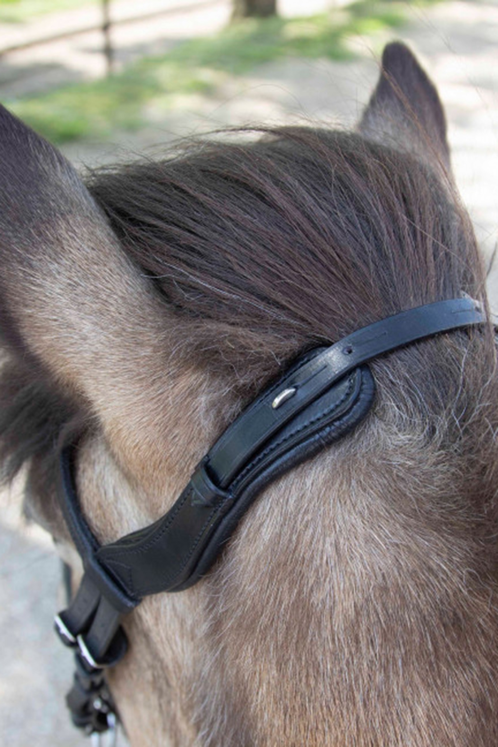 Waldhausen Anatomische Island Trense