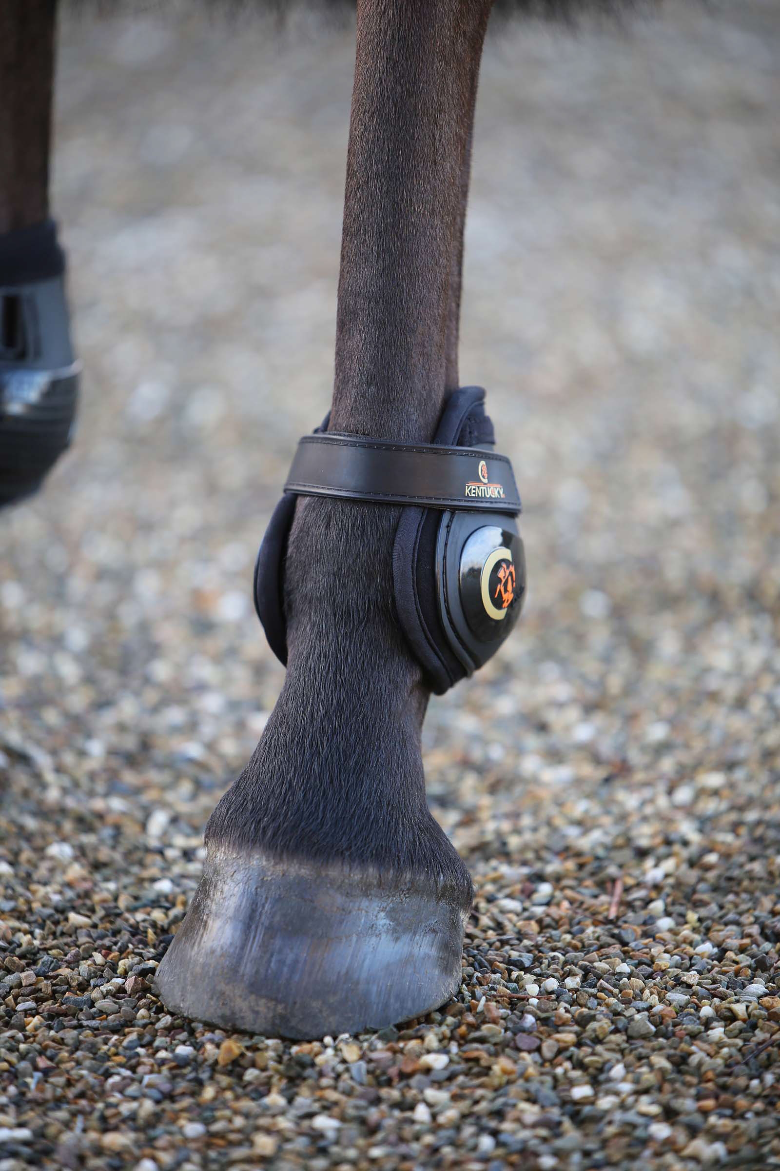 Kentucky Horsewear Moonboots, hinten