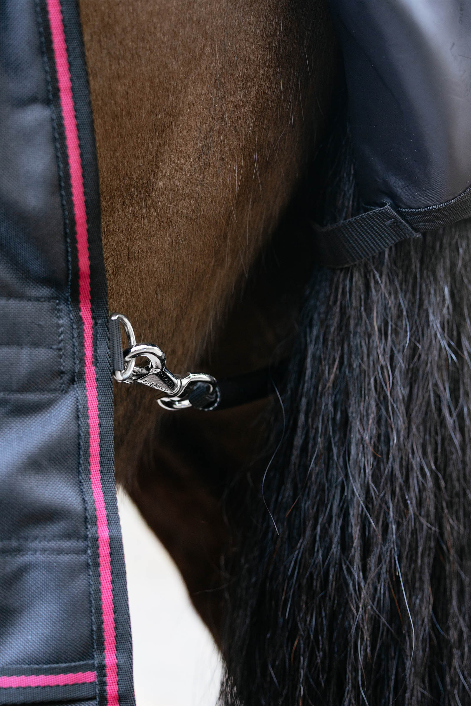 LeMieux Arika Storm-Tek Weidedecke mit abnehmbarem Halsteil, 100 g