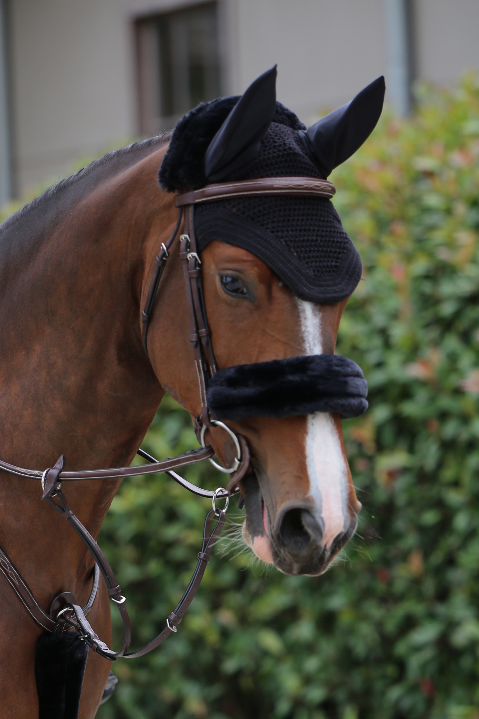 Kentucky Horsewear Lammfell Überzug für den Nasenriemen