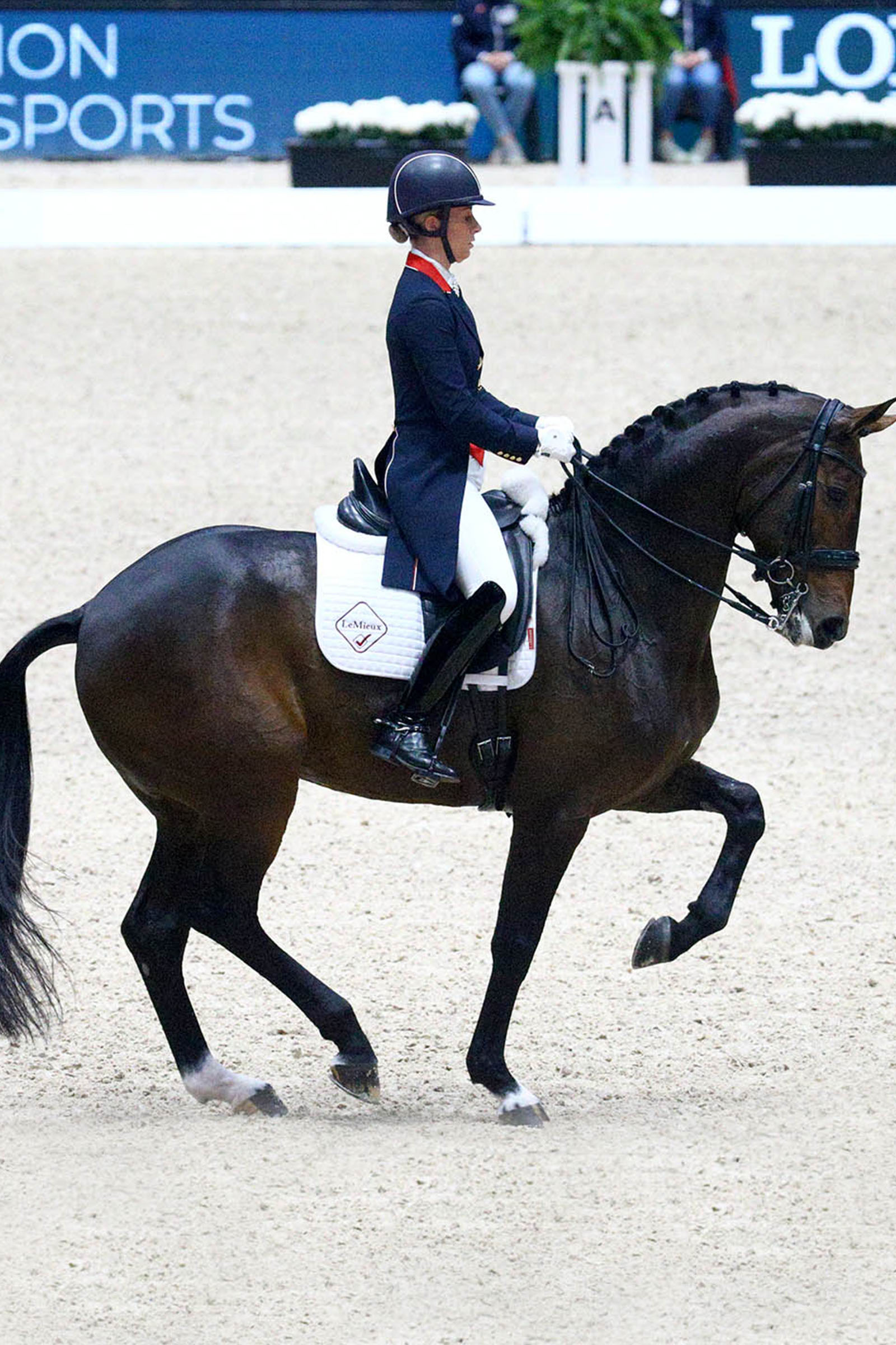 LeMieux Dressage Competition Square Dressurschabracke