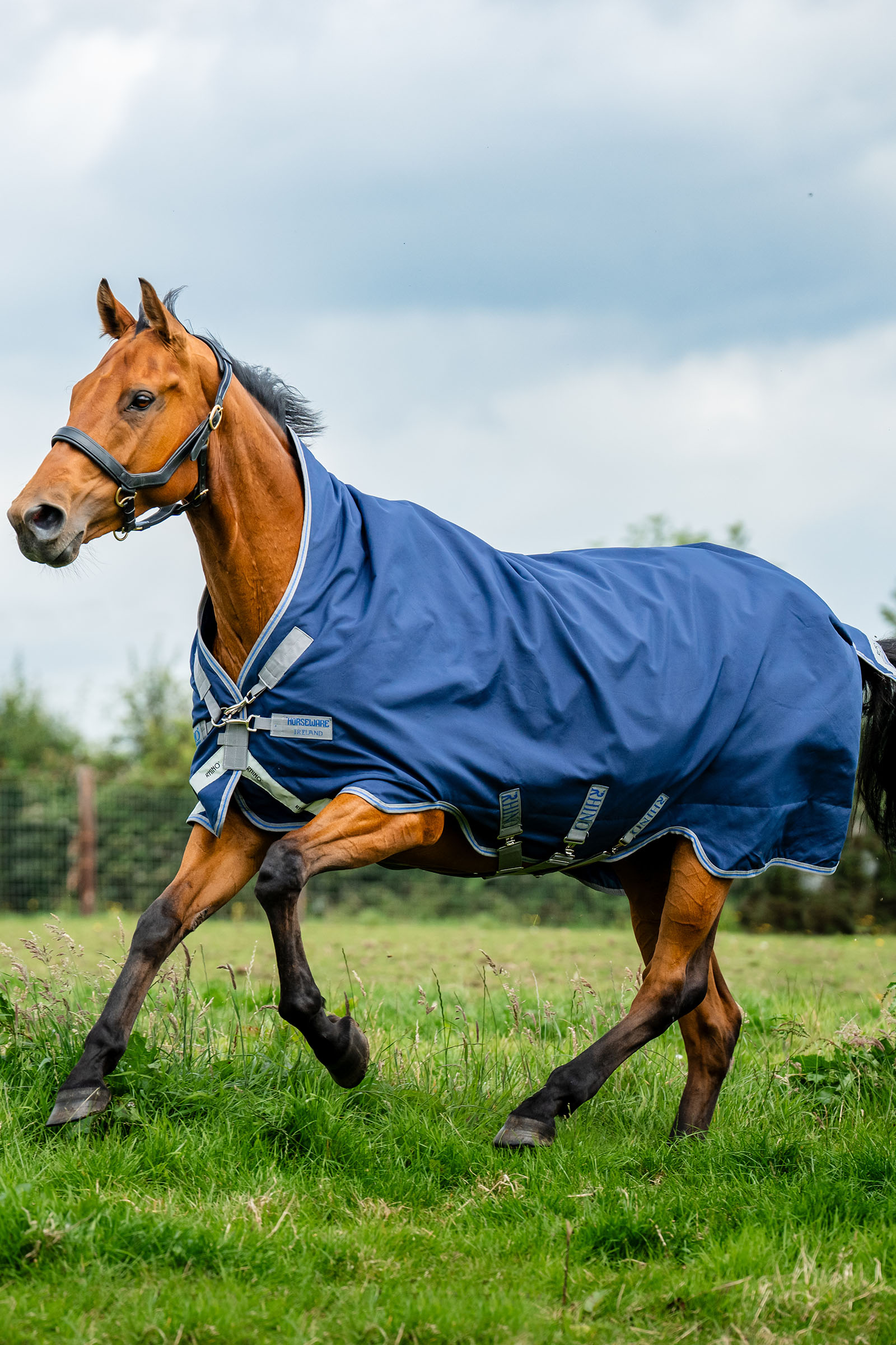 Horseware Rhino Wug Weidedecke, 100 g