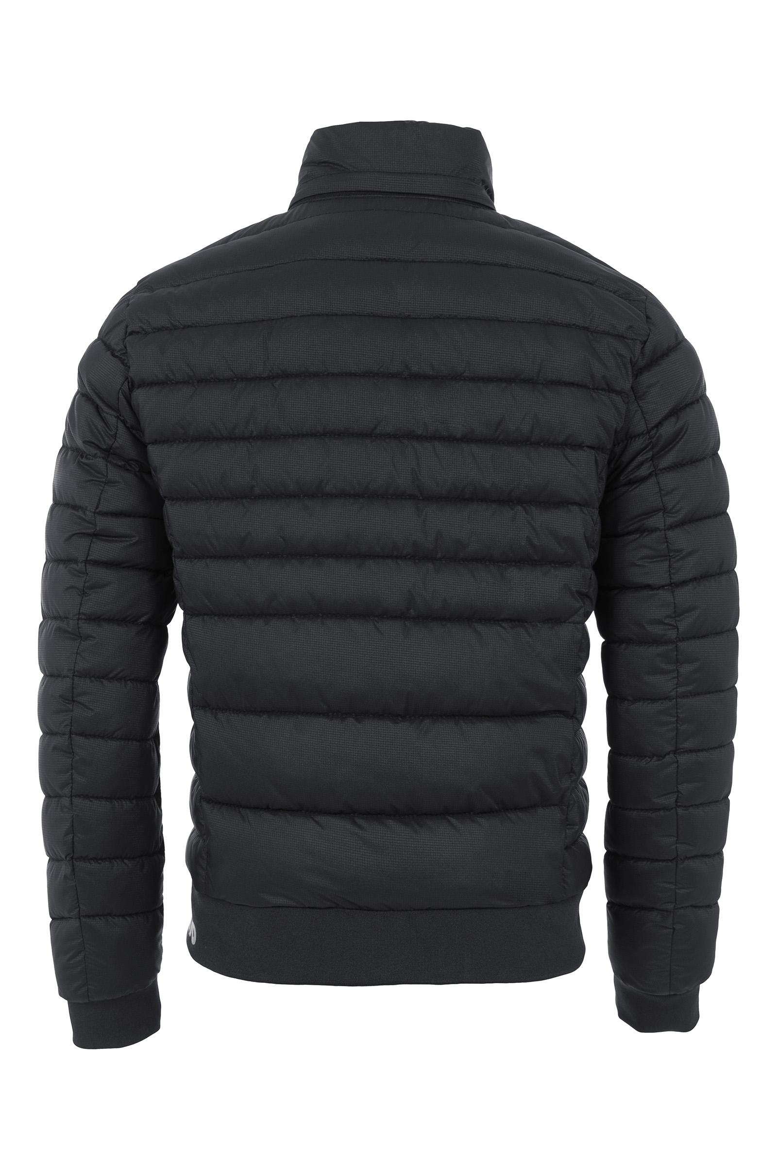 Cavallo CAVALENZO Herren Steppjacke